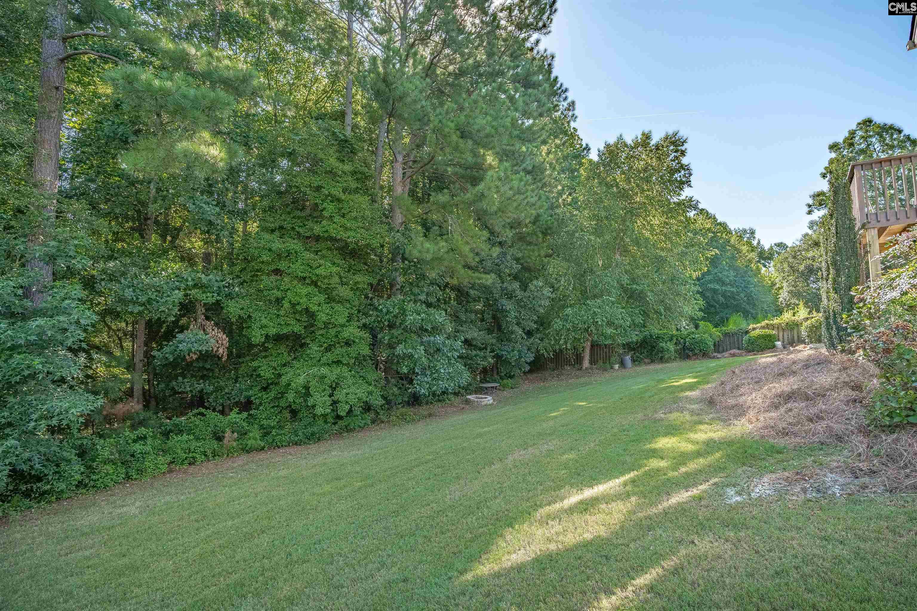 105 Black Walnut Drive Lexington, SC 29072