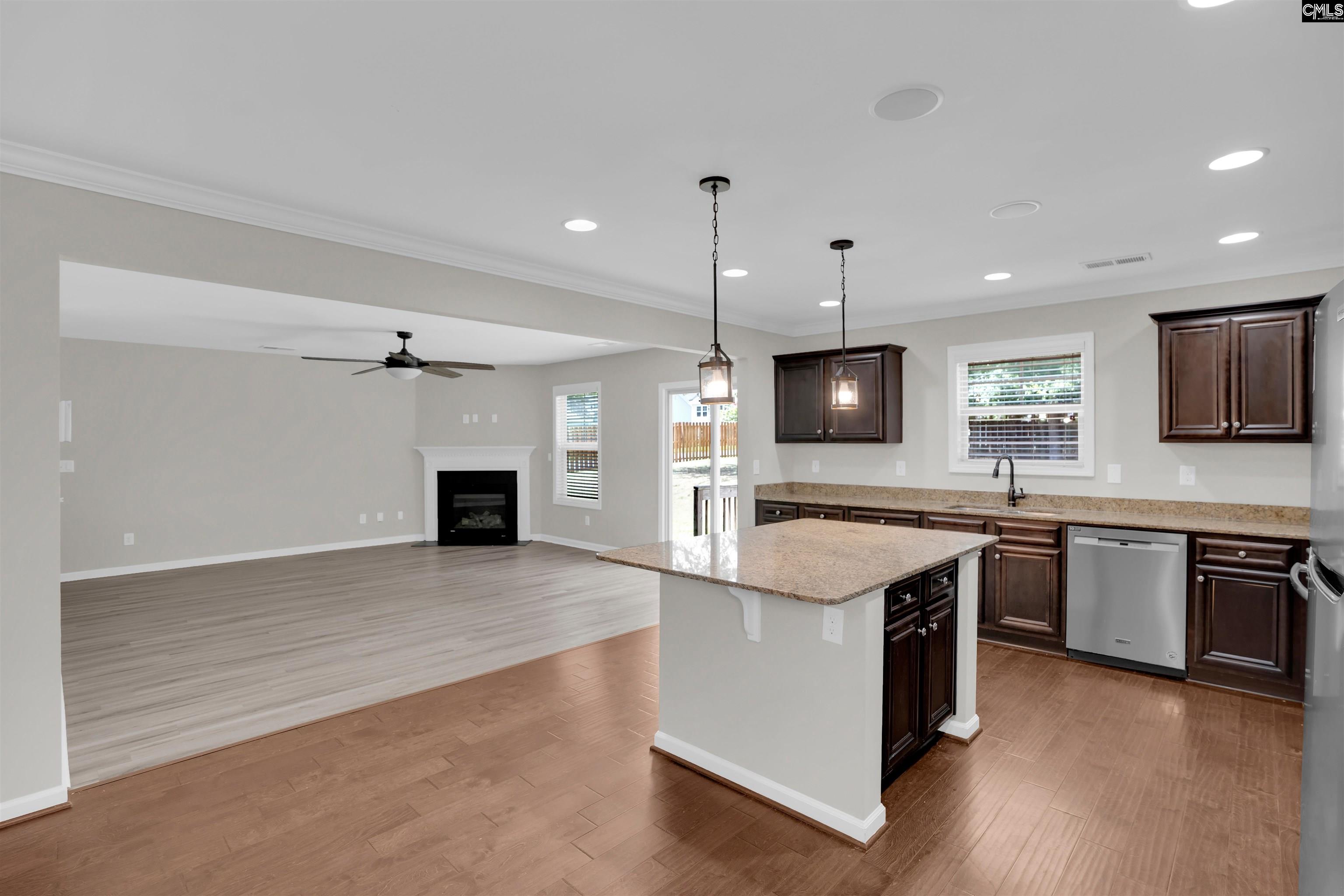 138 Sunsation Drive Chapin, SC 29036