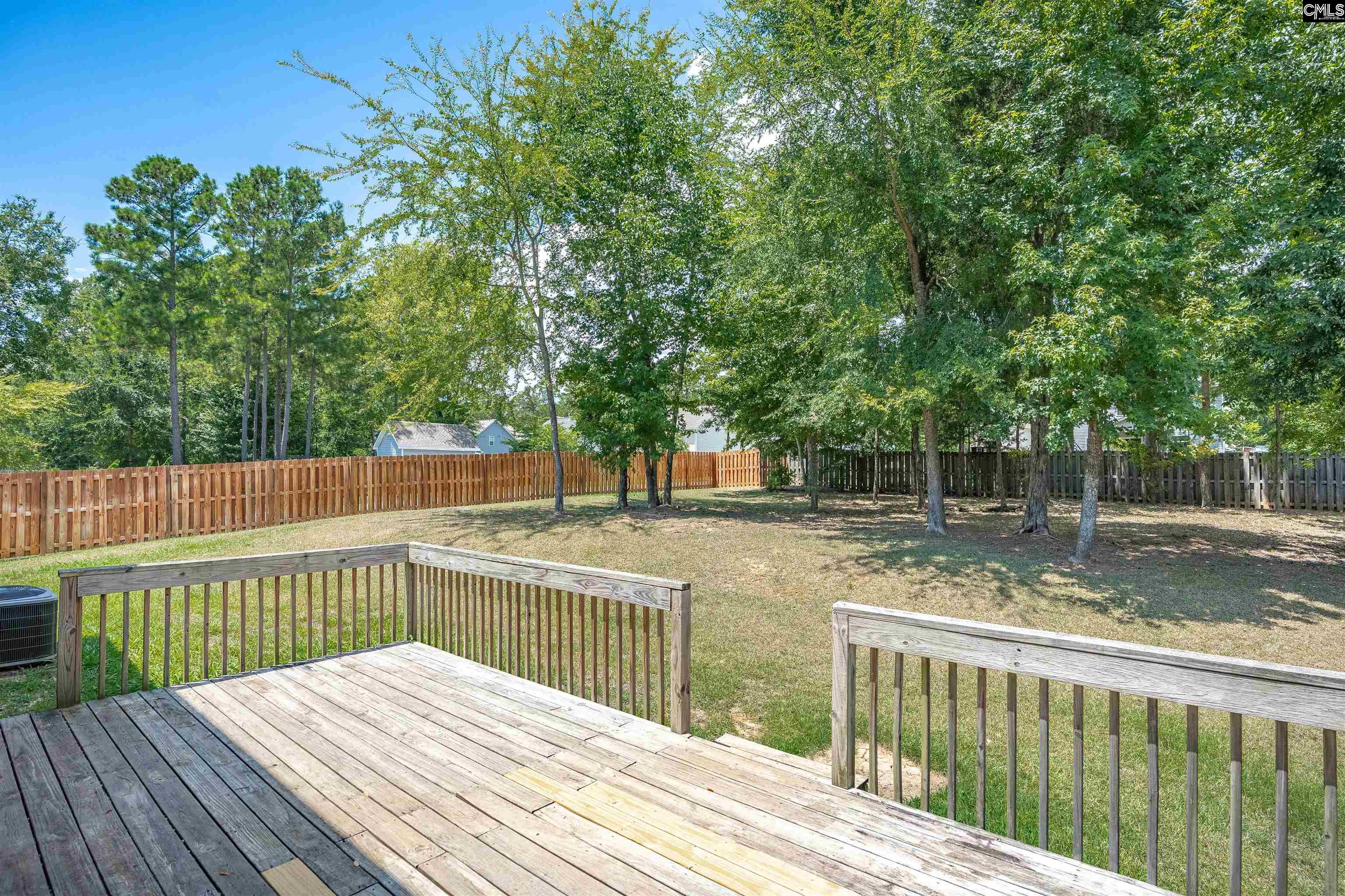 138 Sunsation Drive Chapin, SC 29036