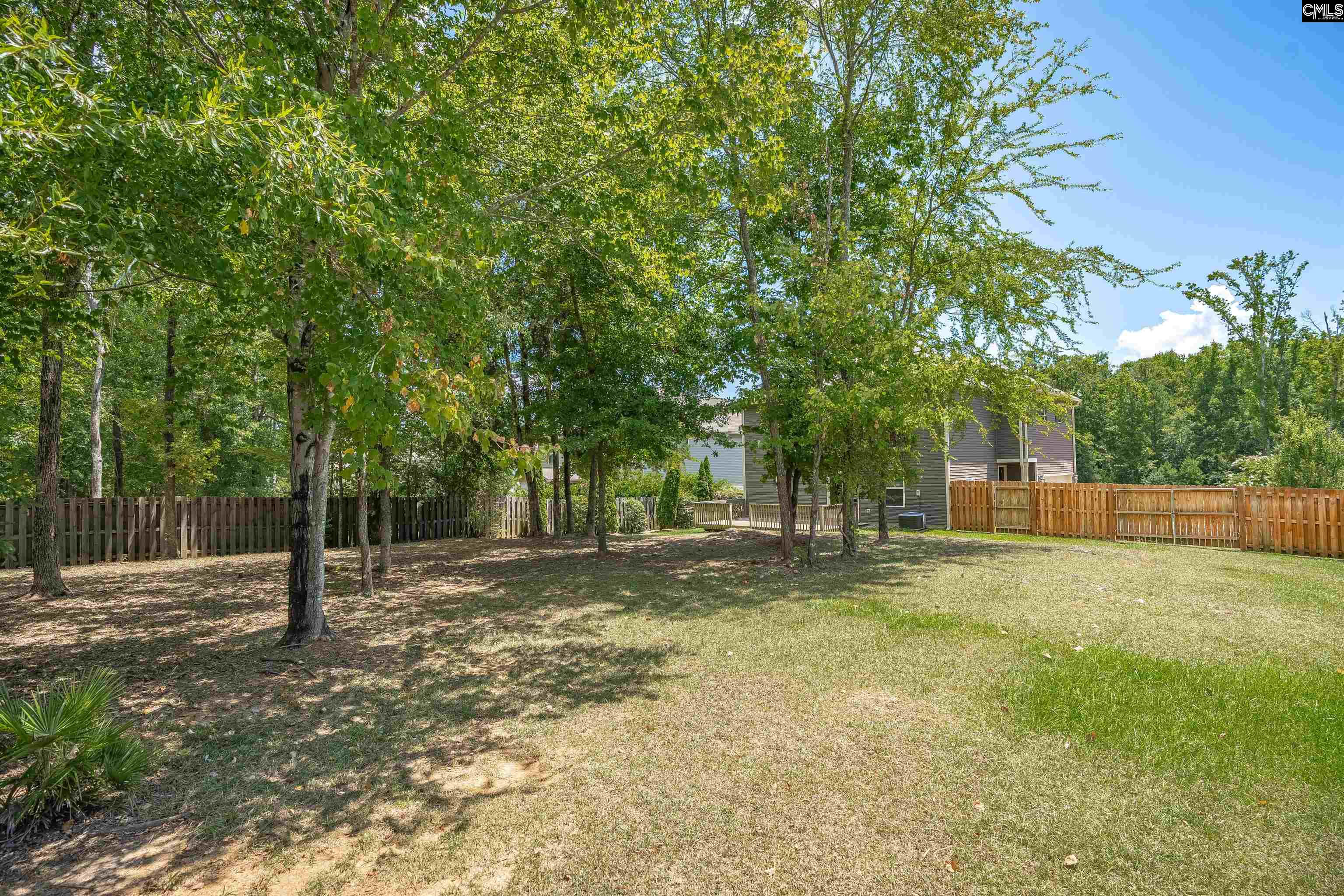 138 Sunsation Drive Chapin, SC 29036