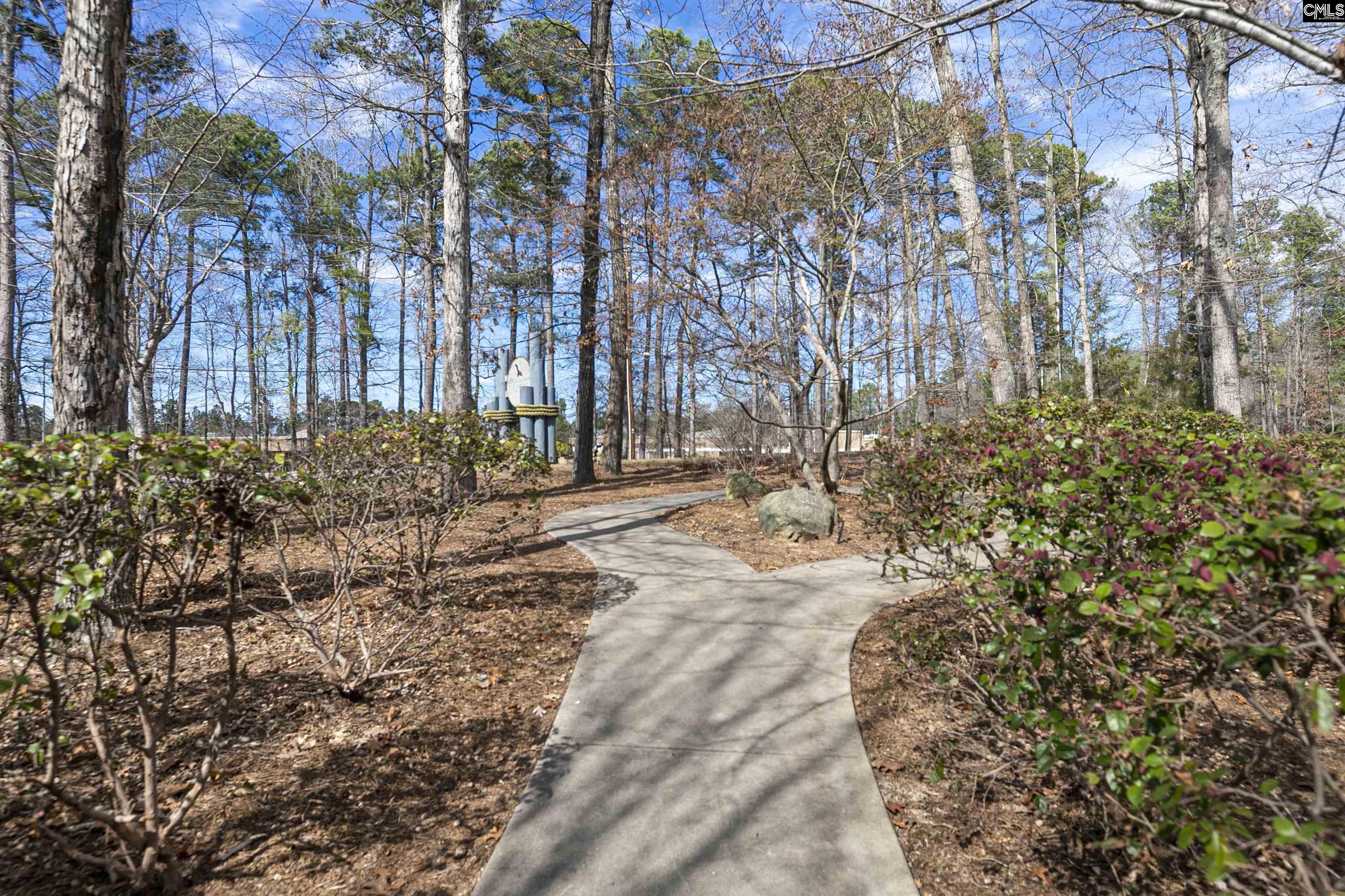 831 Bob Stay Way Chapin, SC 29036