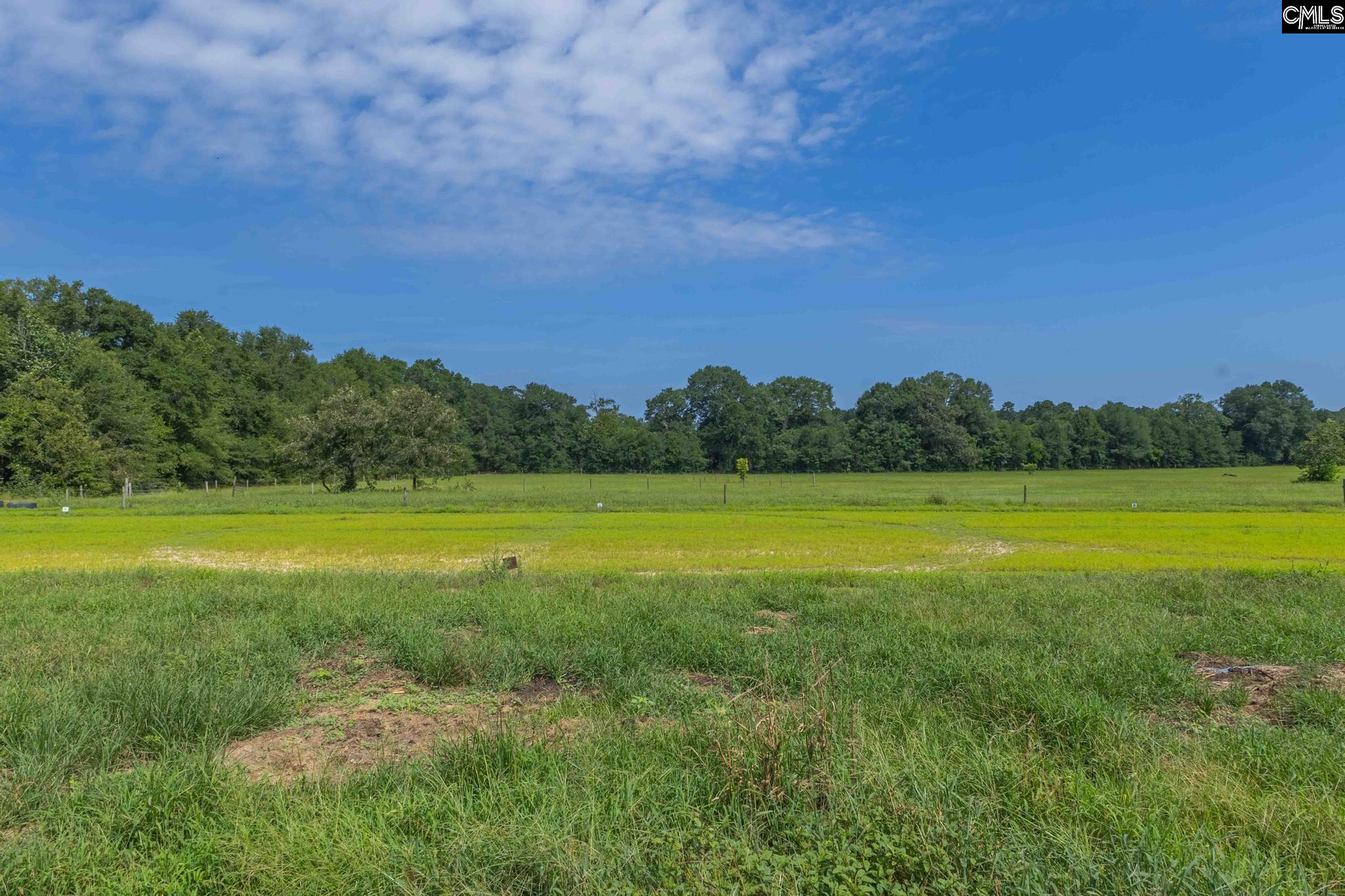 301 Ernest Johnson Road Wagener, SC 29164
