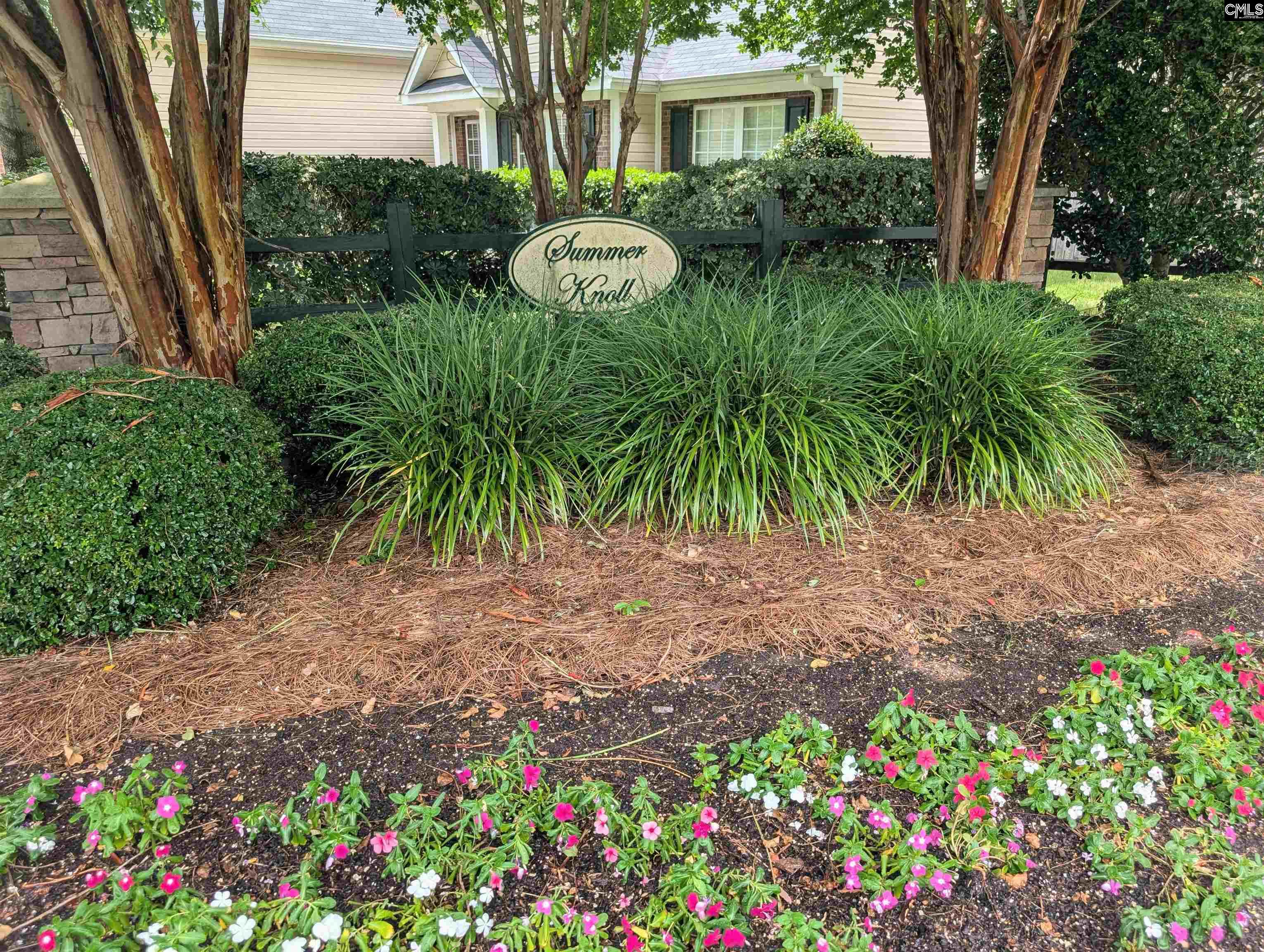 816 Ingamma Court Lexington, SC 29073