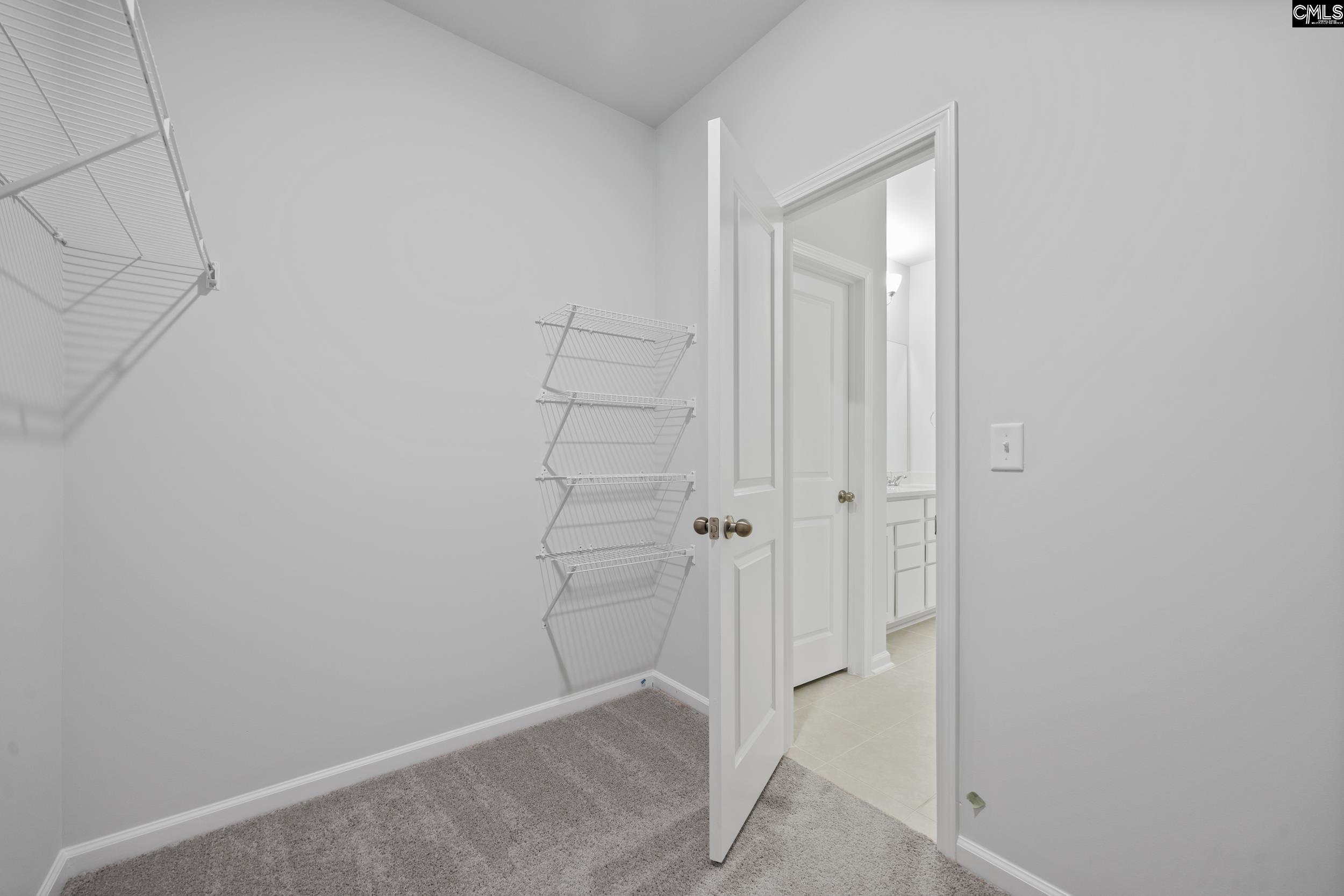 110 Monroe Preserve Drive Chapin, SC 29036