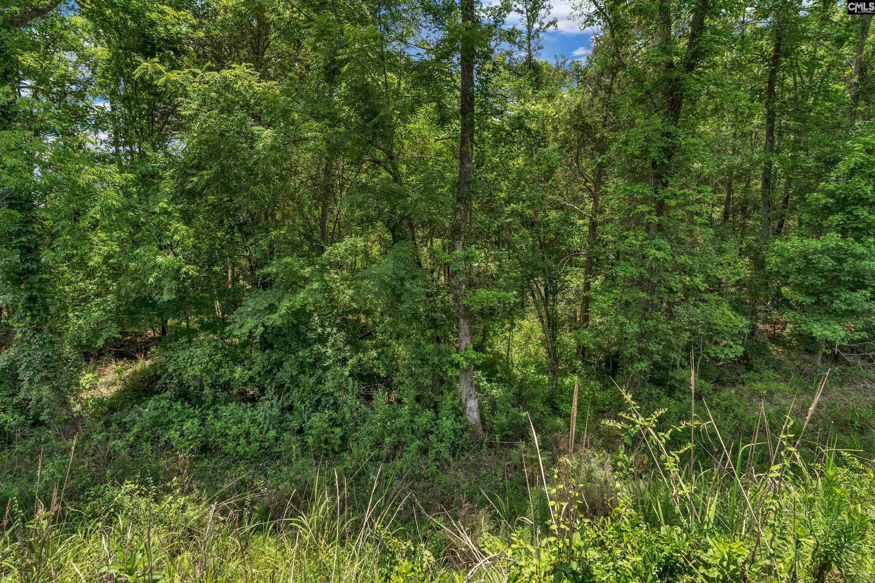 0000 Hwy 215 UNIT #5 Jenkinsville, SC 29065