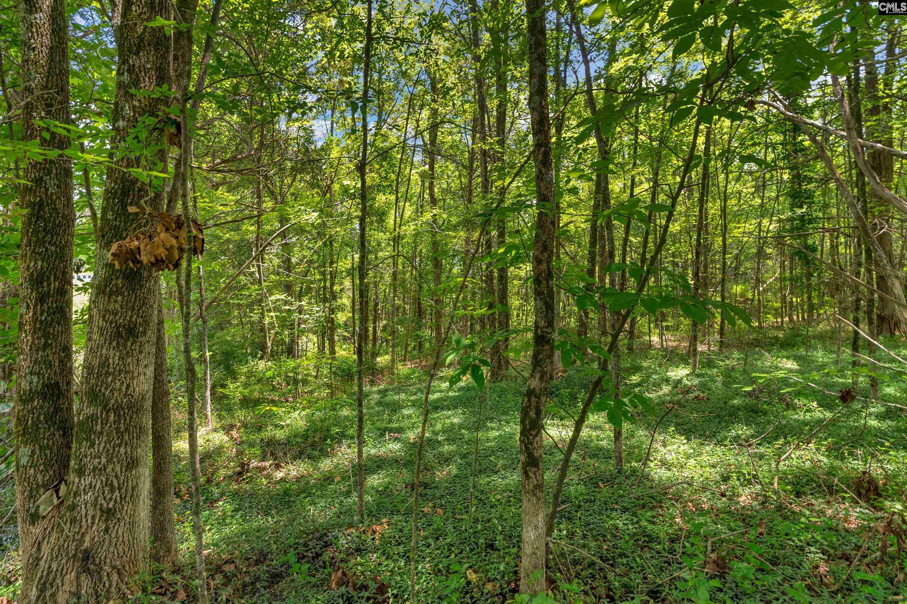 0000 Hwy 215 UNIT #5 Jenkinsville, SC 29065