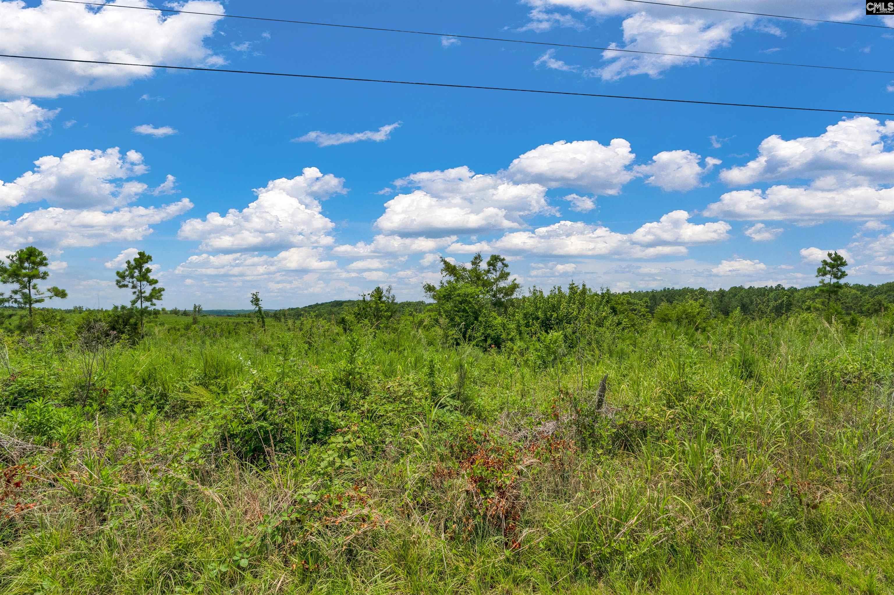 0000 Hwy 215 UNIT #5 Jenkinsville, SC 29065