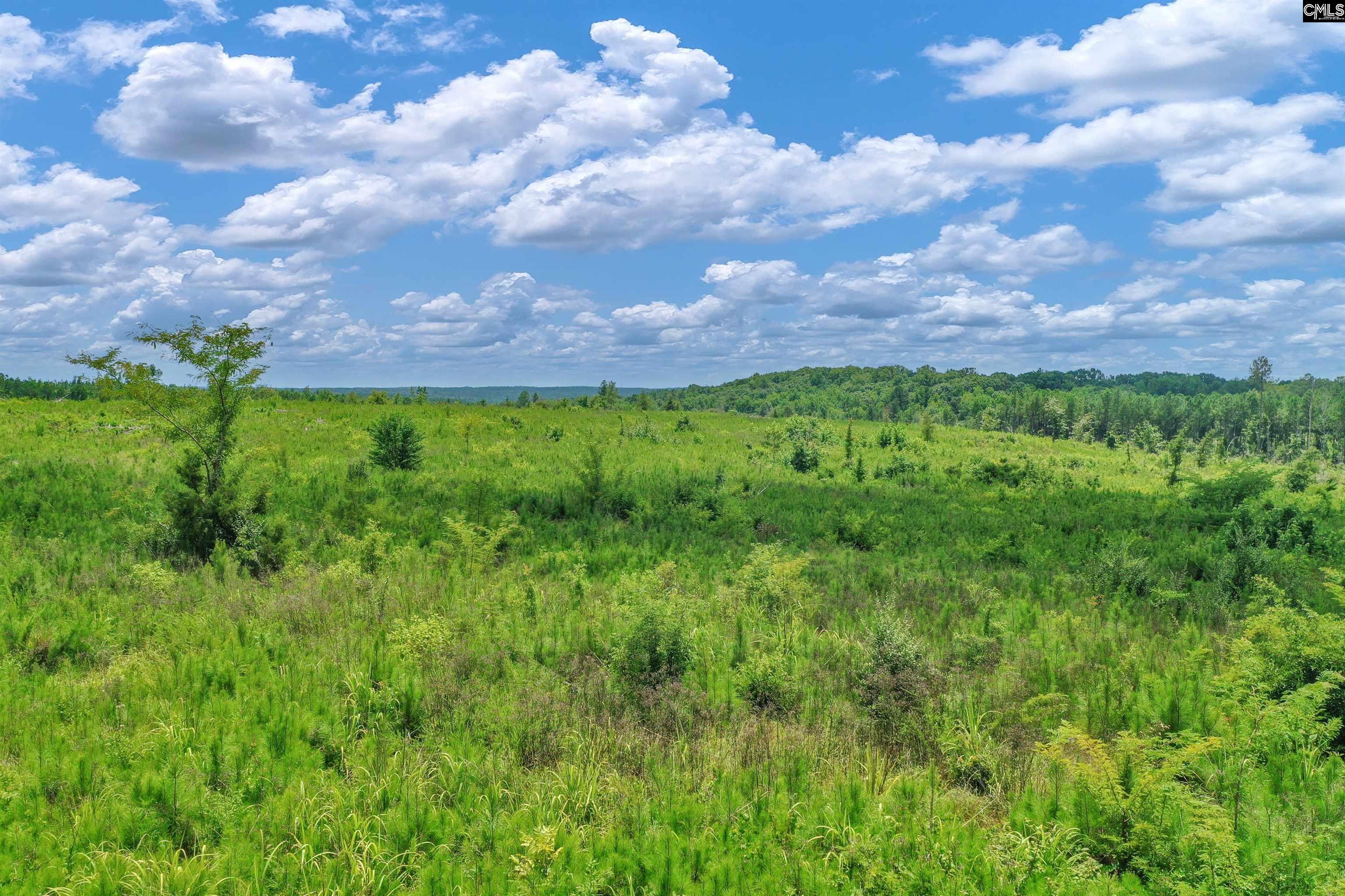 0000 Hwy 215 UNIT #6 Jenkinsville, SC 29065