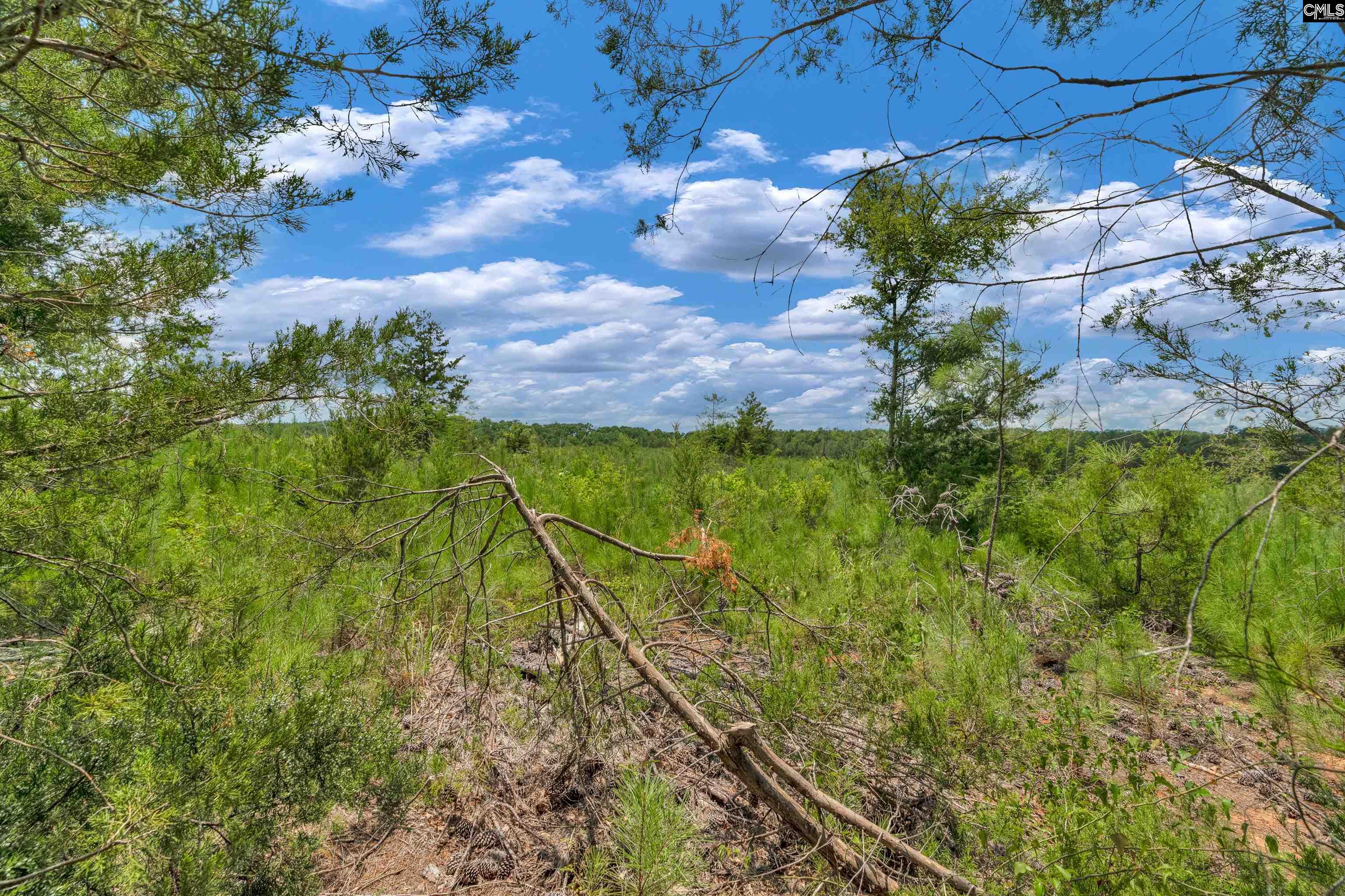 0000 Hwy 215 UNIT #6 Jenkinsville, SC 29065