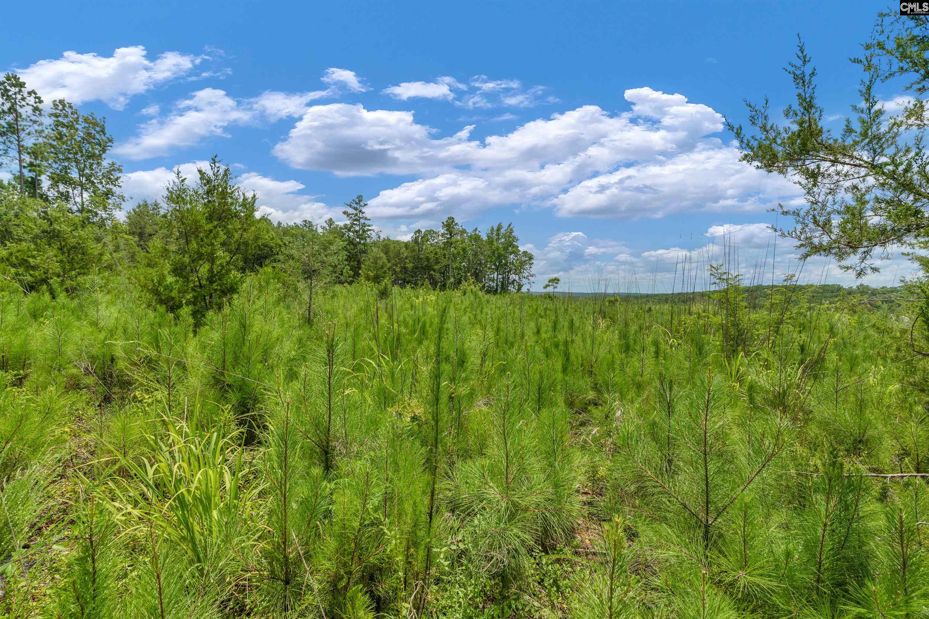 0000 Hwy 215 UNIT #6 Jenkinsville, SC 29065