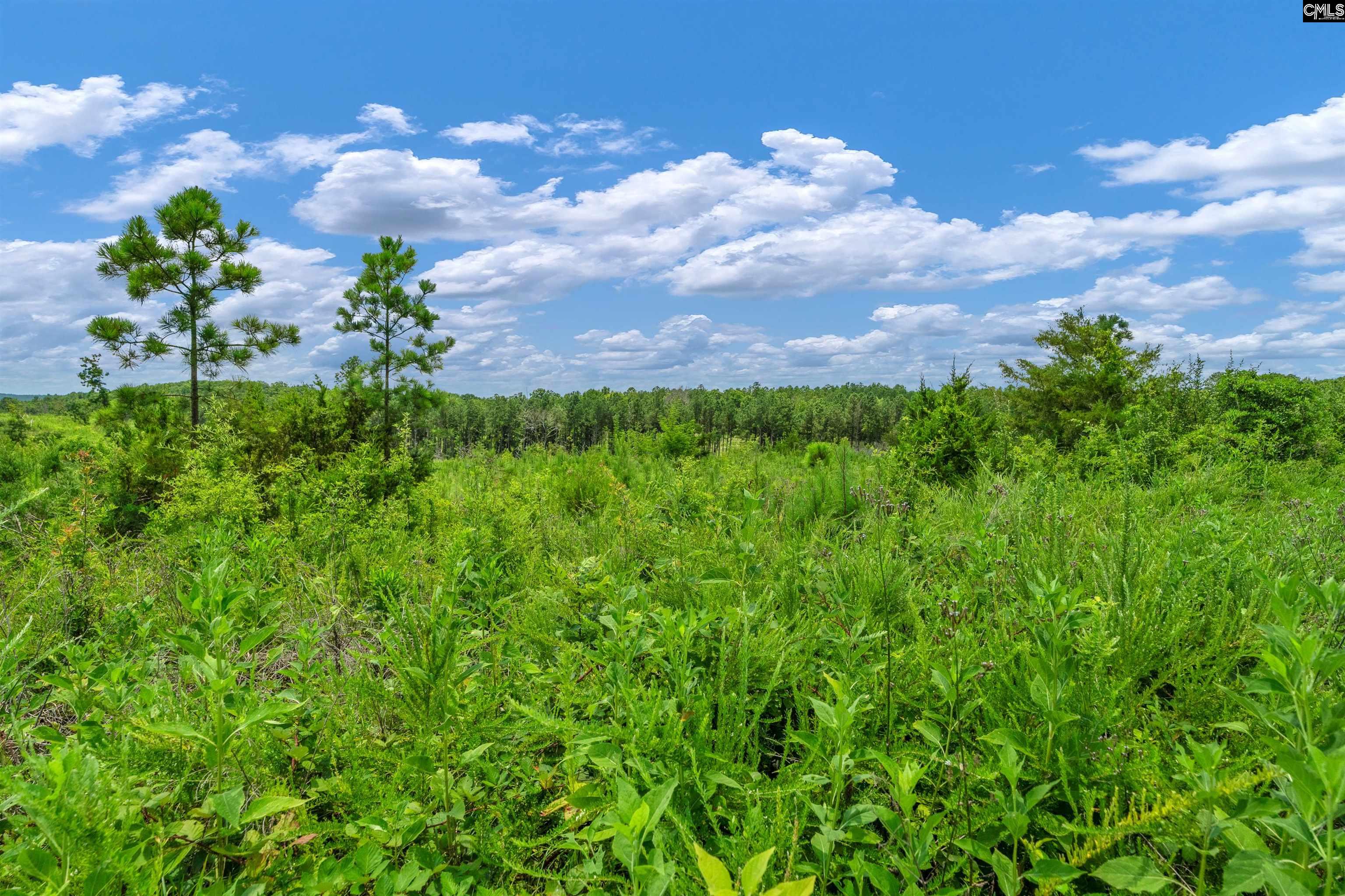 0000 Hwy 215 UNIT #6 Jenkinsville, SC 29065