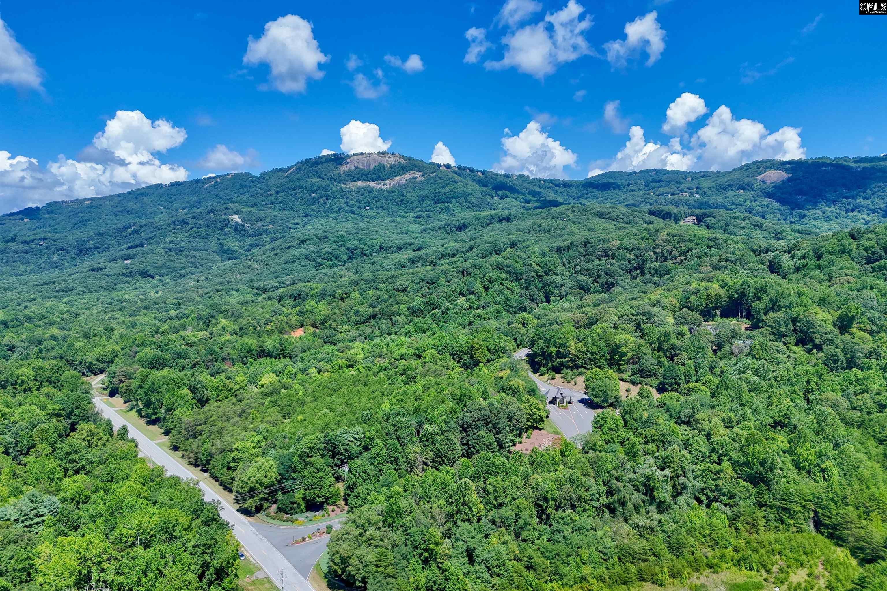 10 Northslope View Landrum, SC 29356