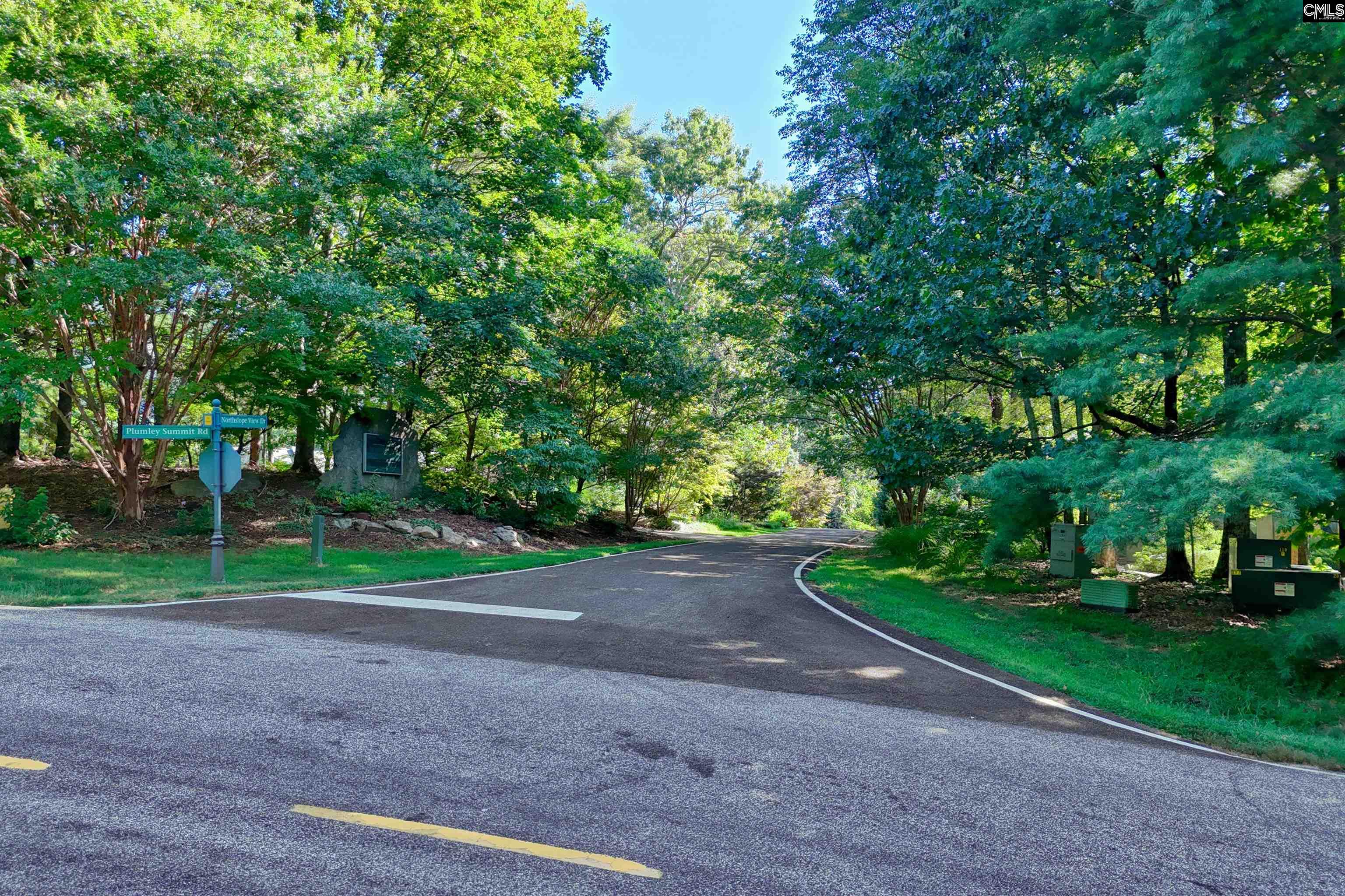 10 Northslope View Landrum, SC 29356