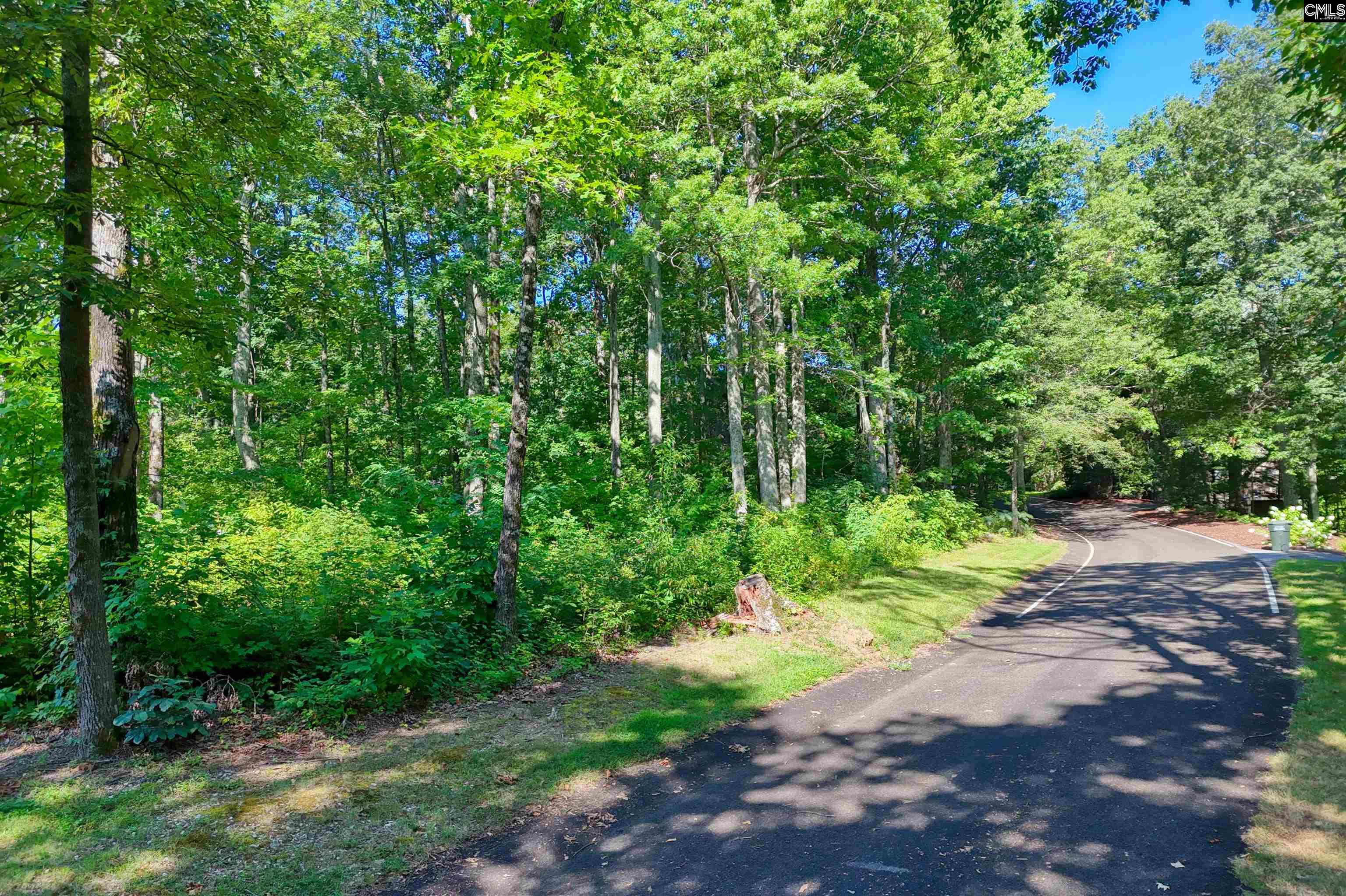 10 Northslope View Landrum, SC 29356