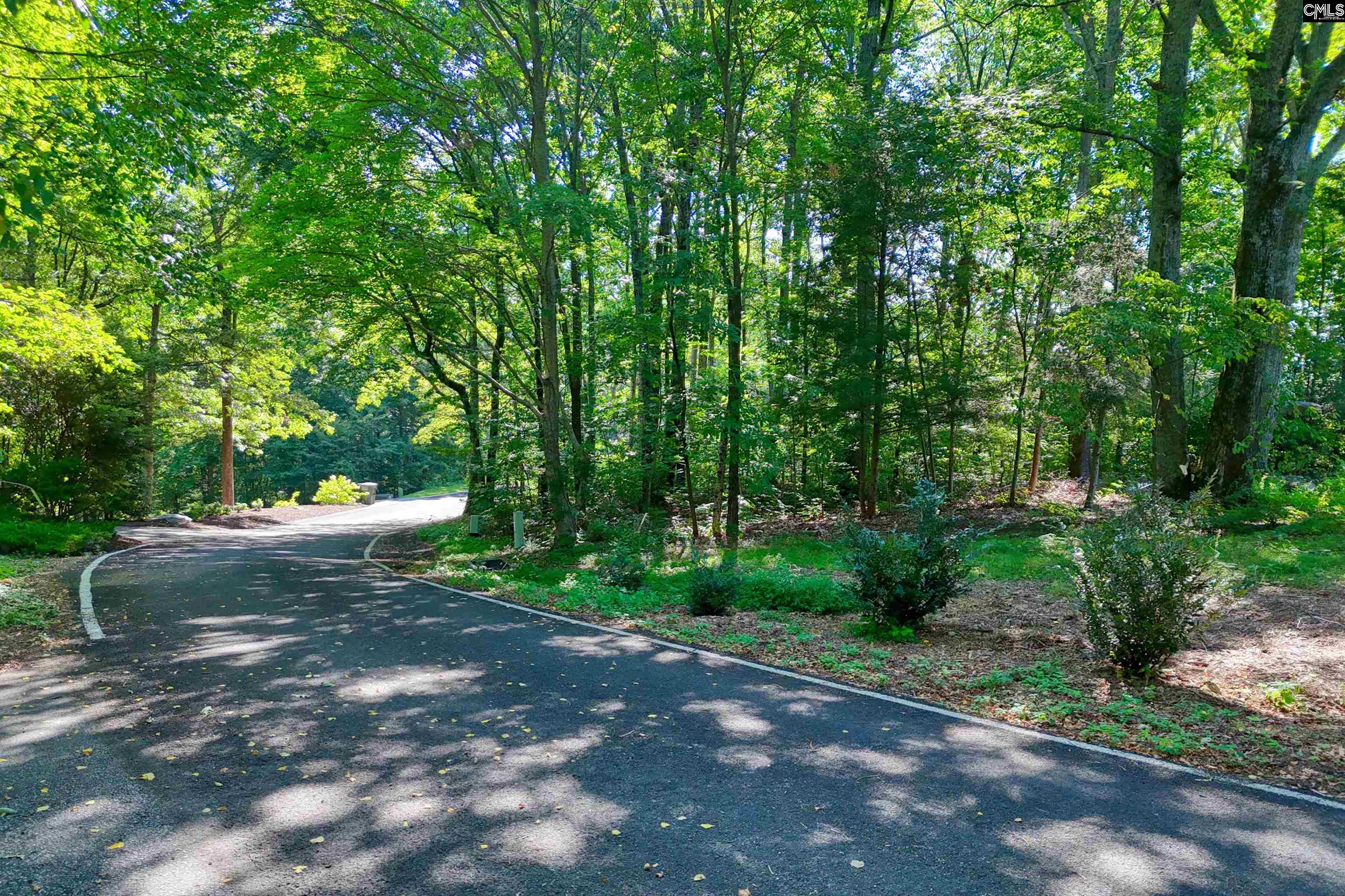 10 Northslope View Landrum, SC 29356