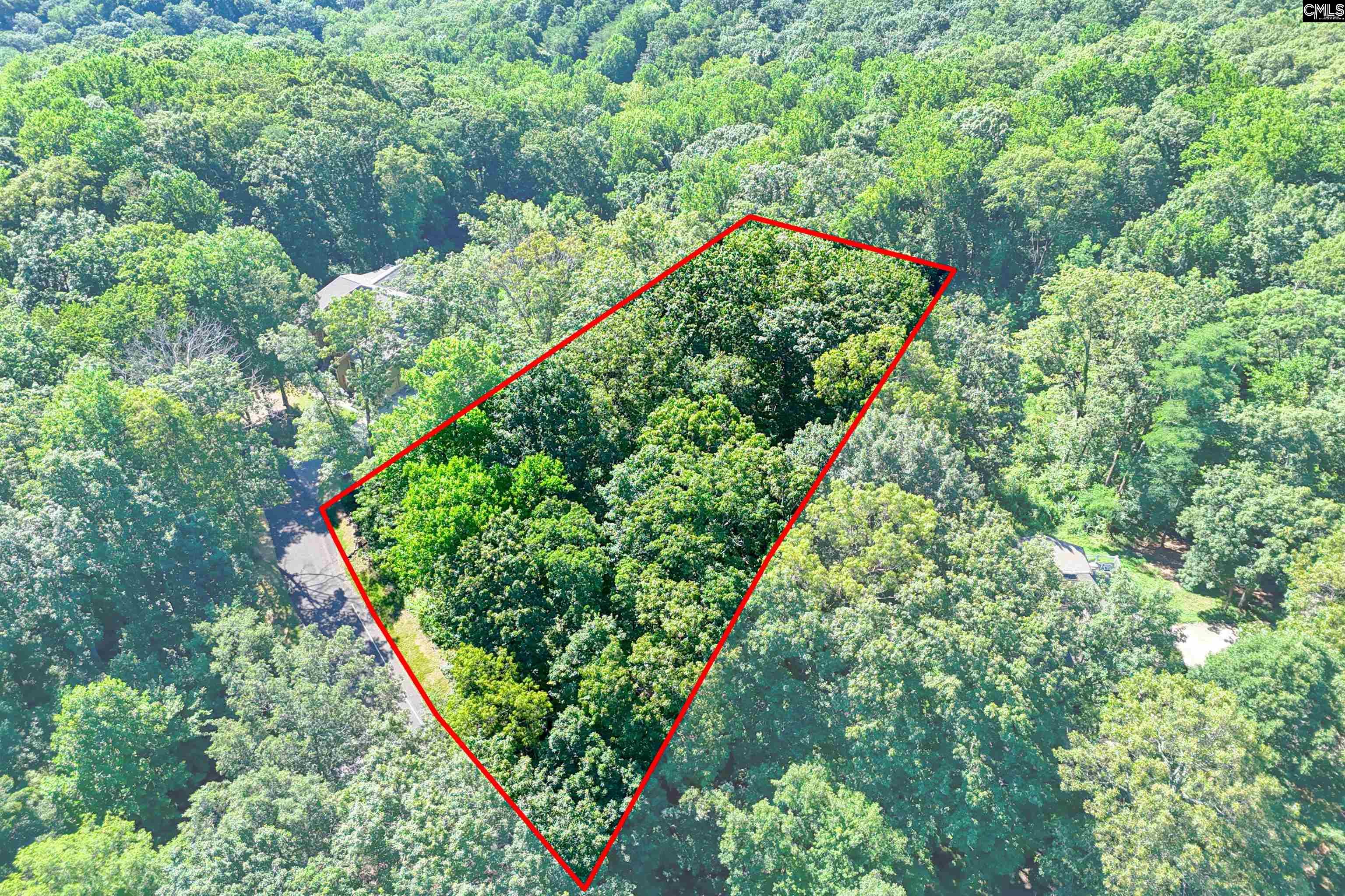10 Northslope View Landrum, SC 29356