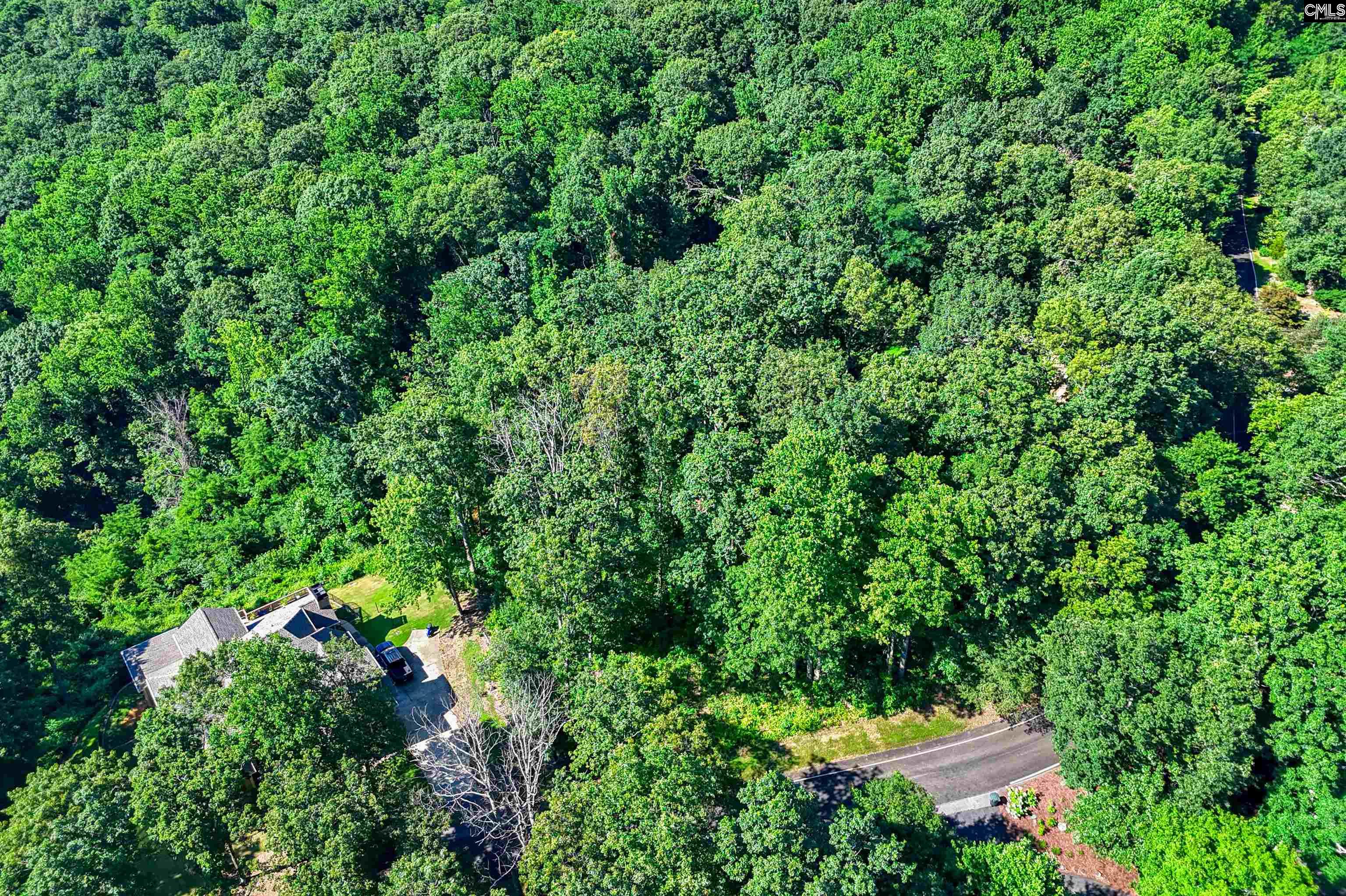 10 Northslope View Landrum, SC 29356