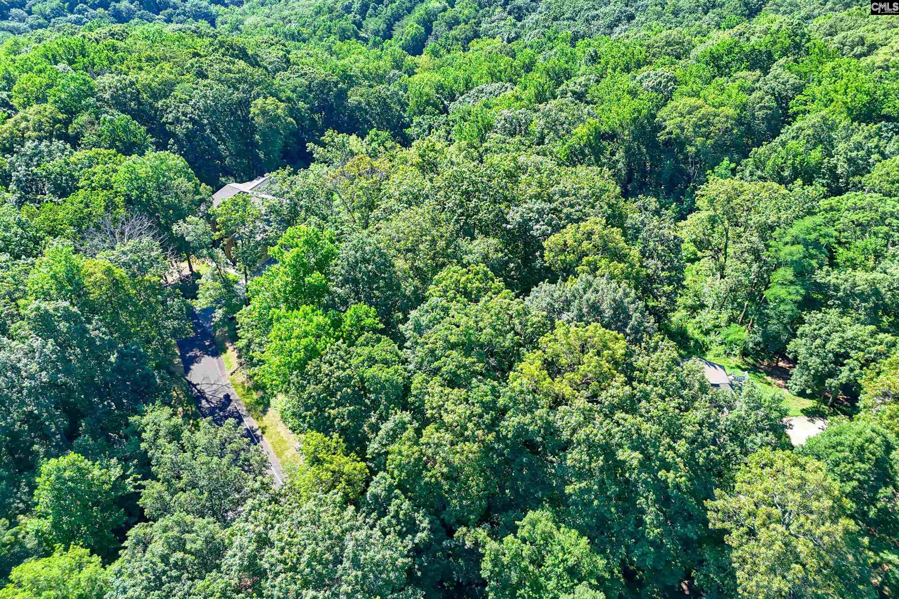 10 Northslope View Landrum, SC 29356