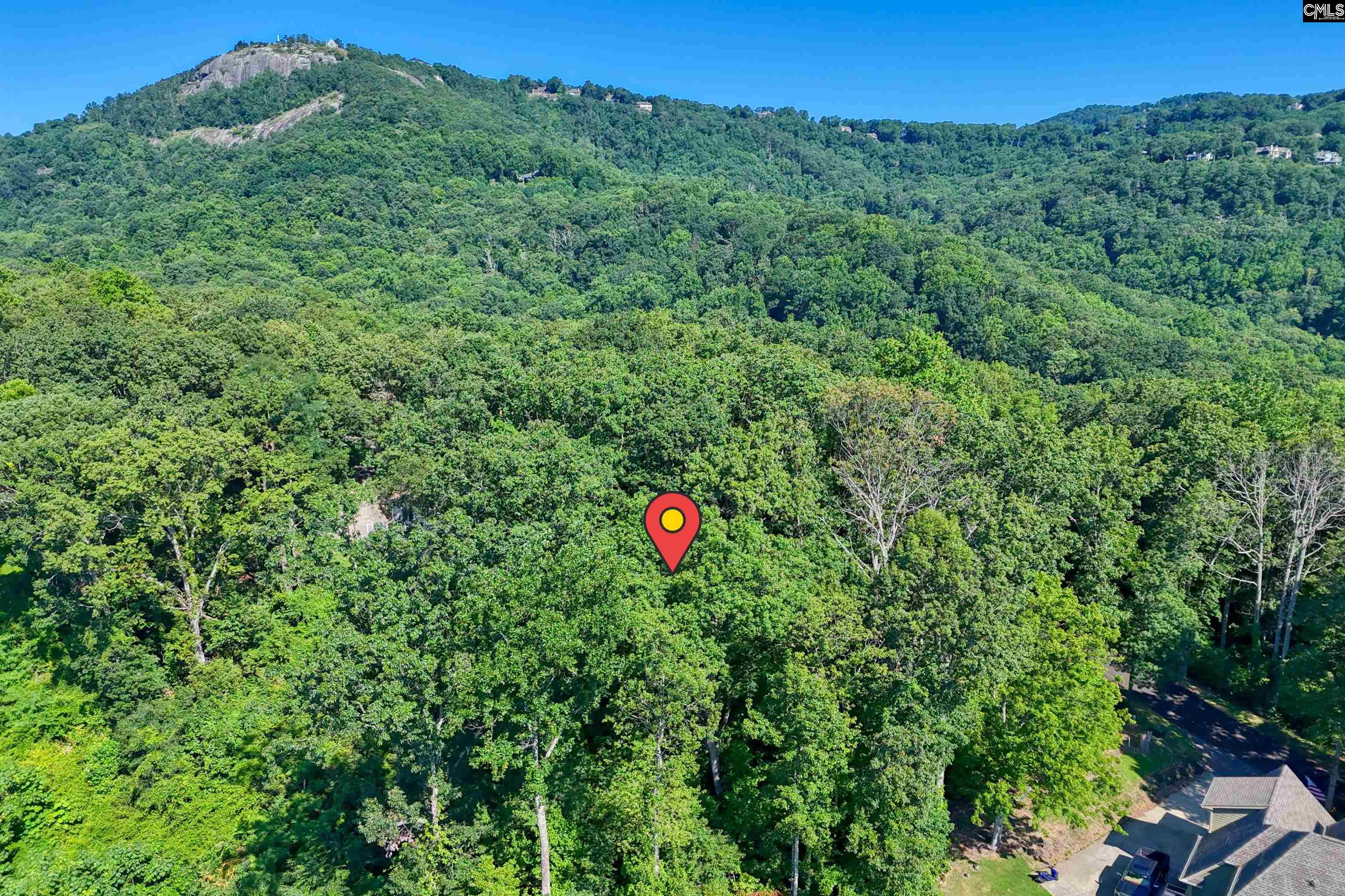 10 Northslope View Landrum, SC 29356