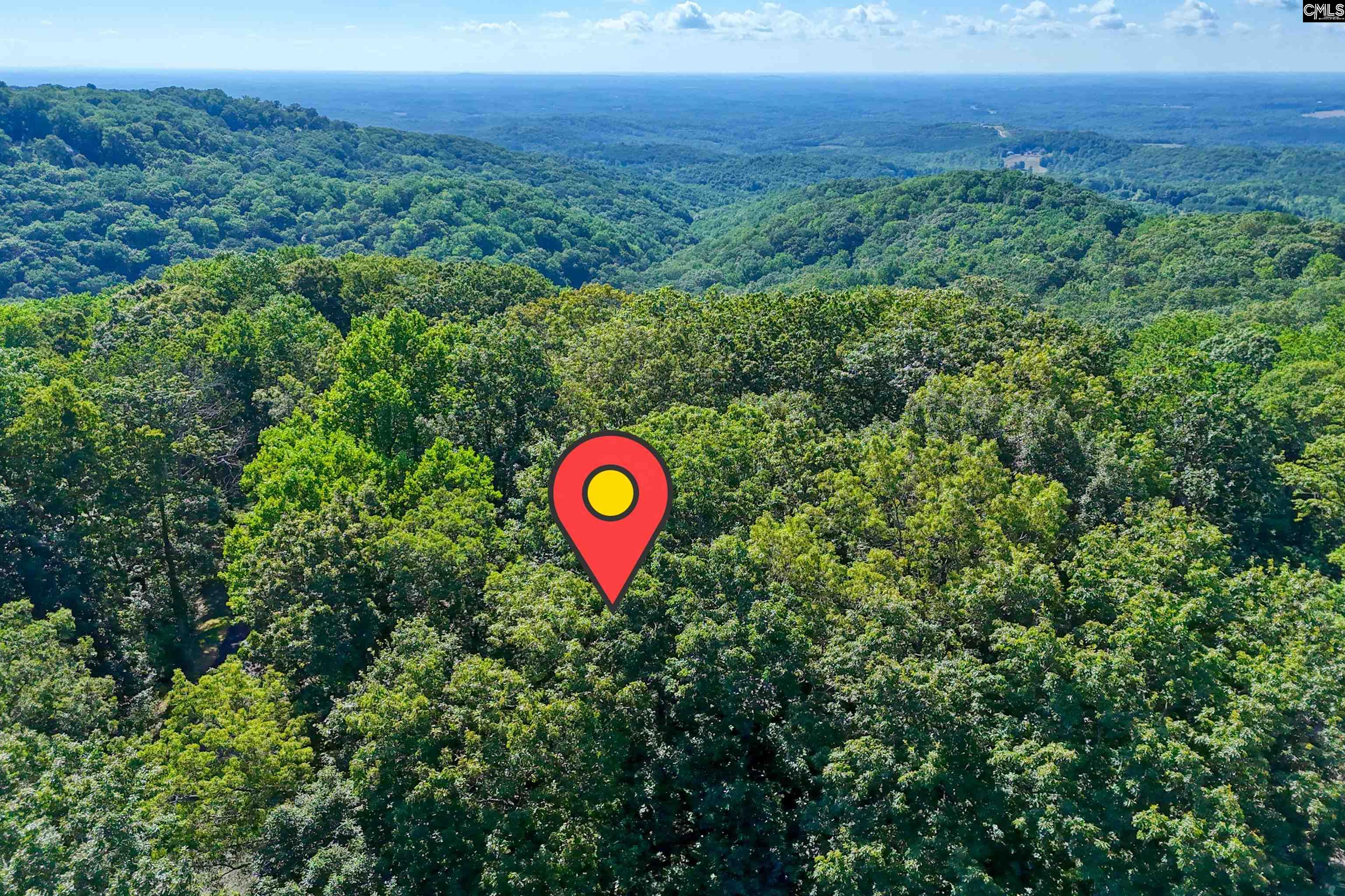10 Northslope View Landrum, SC 29356