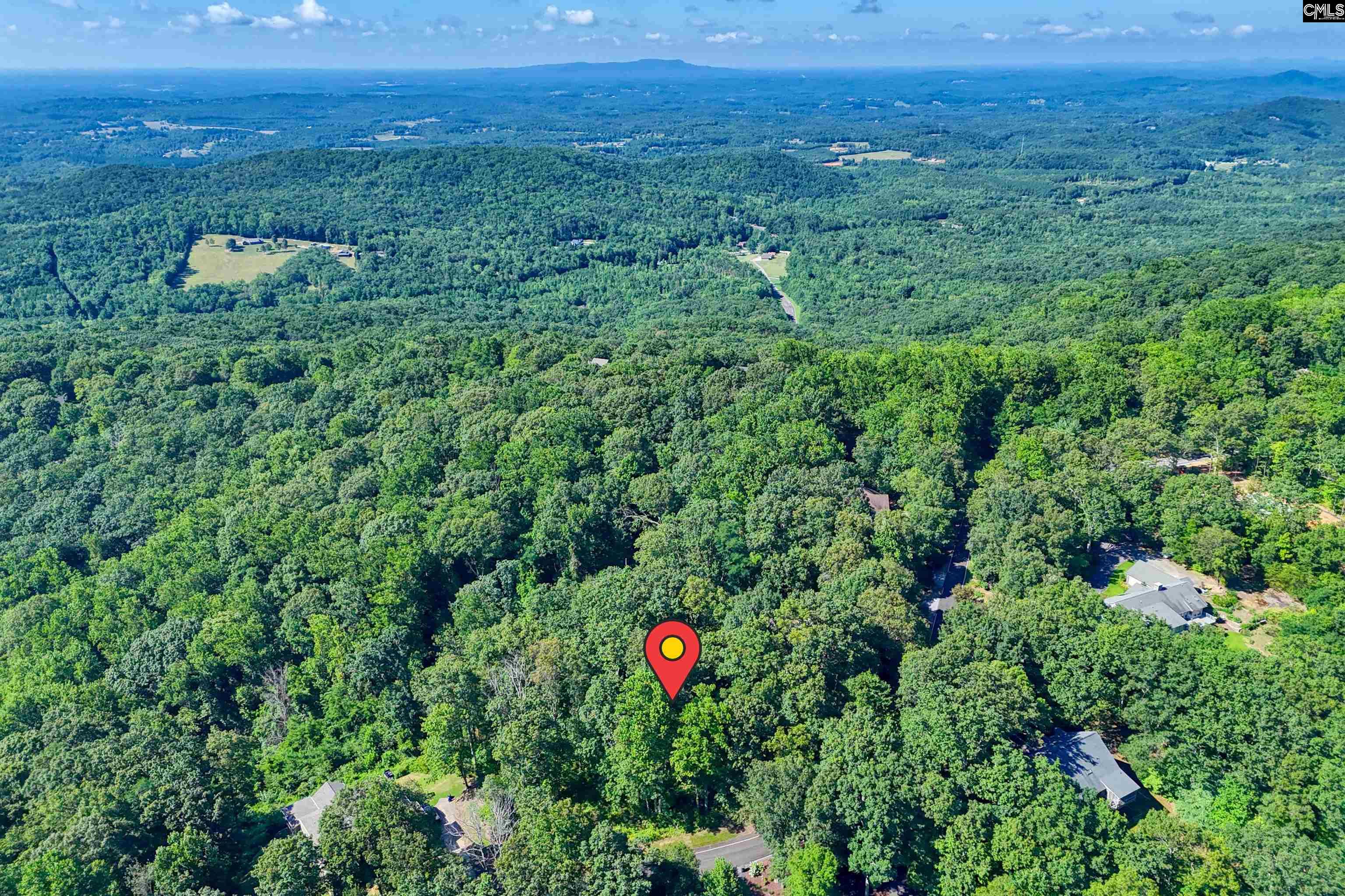 10 Northslope View Landrum, SC 29356