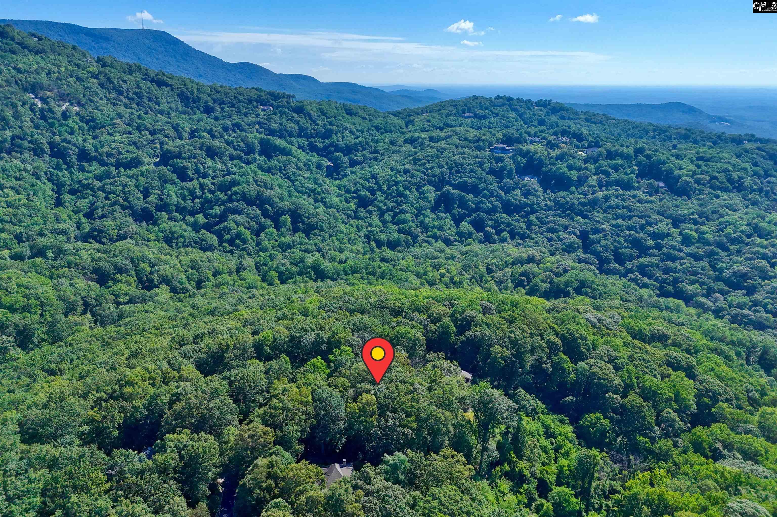 10 Northslope View Landrum, SC 29356