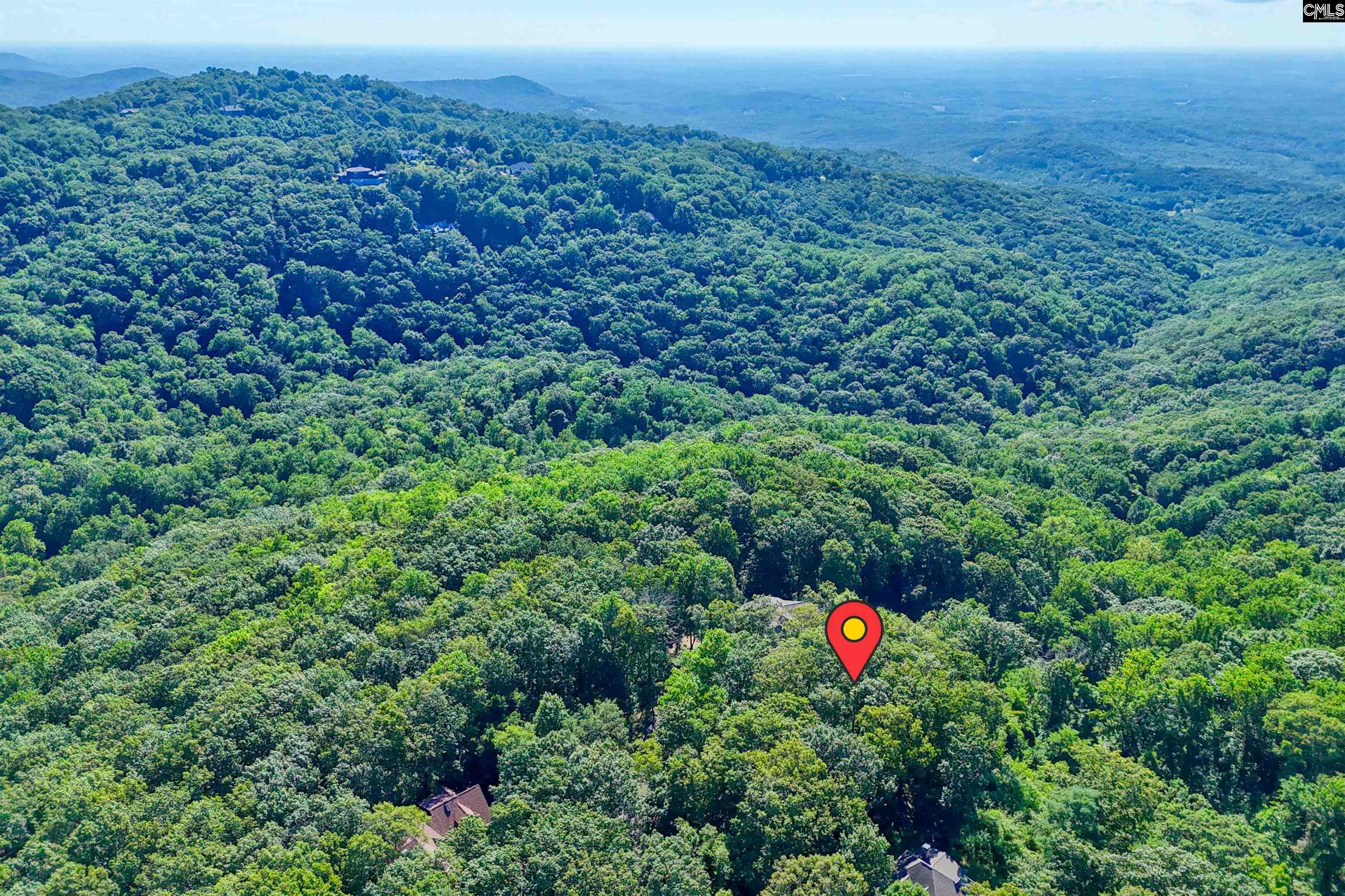 10 Northslope View Landrum, SC 29356