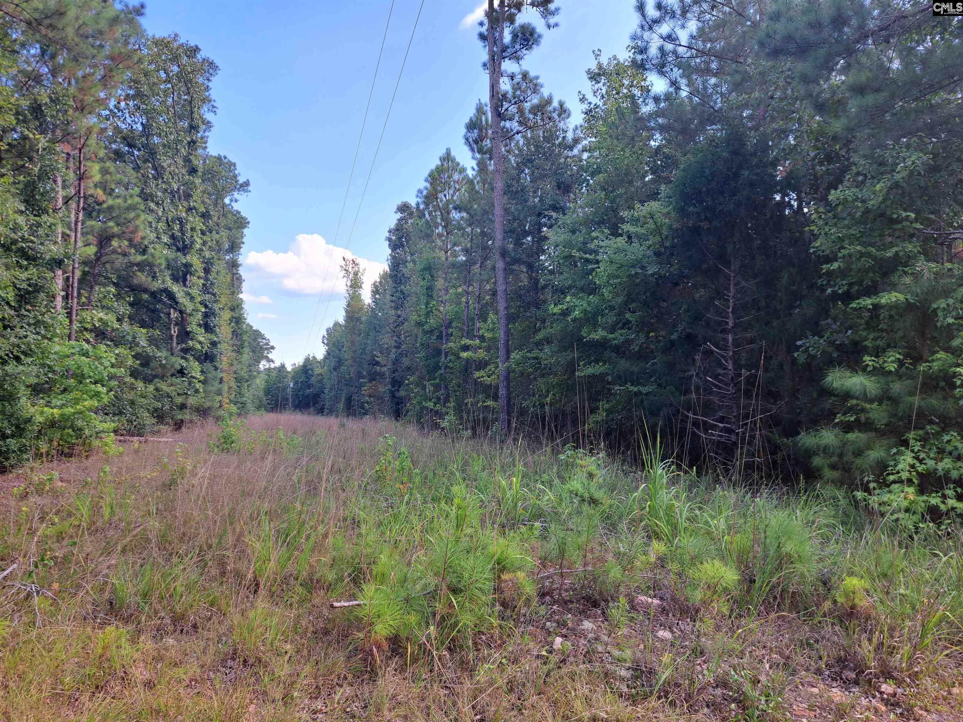 1001 Robinson Ridgeway, SC 29130