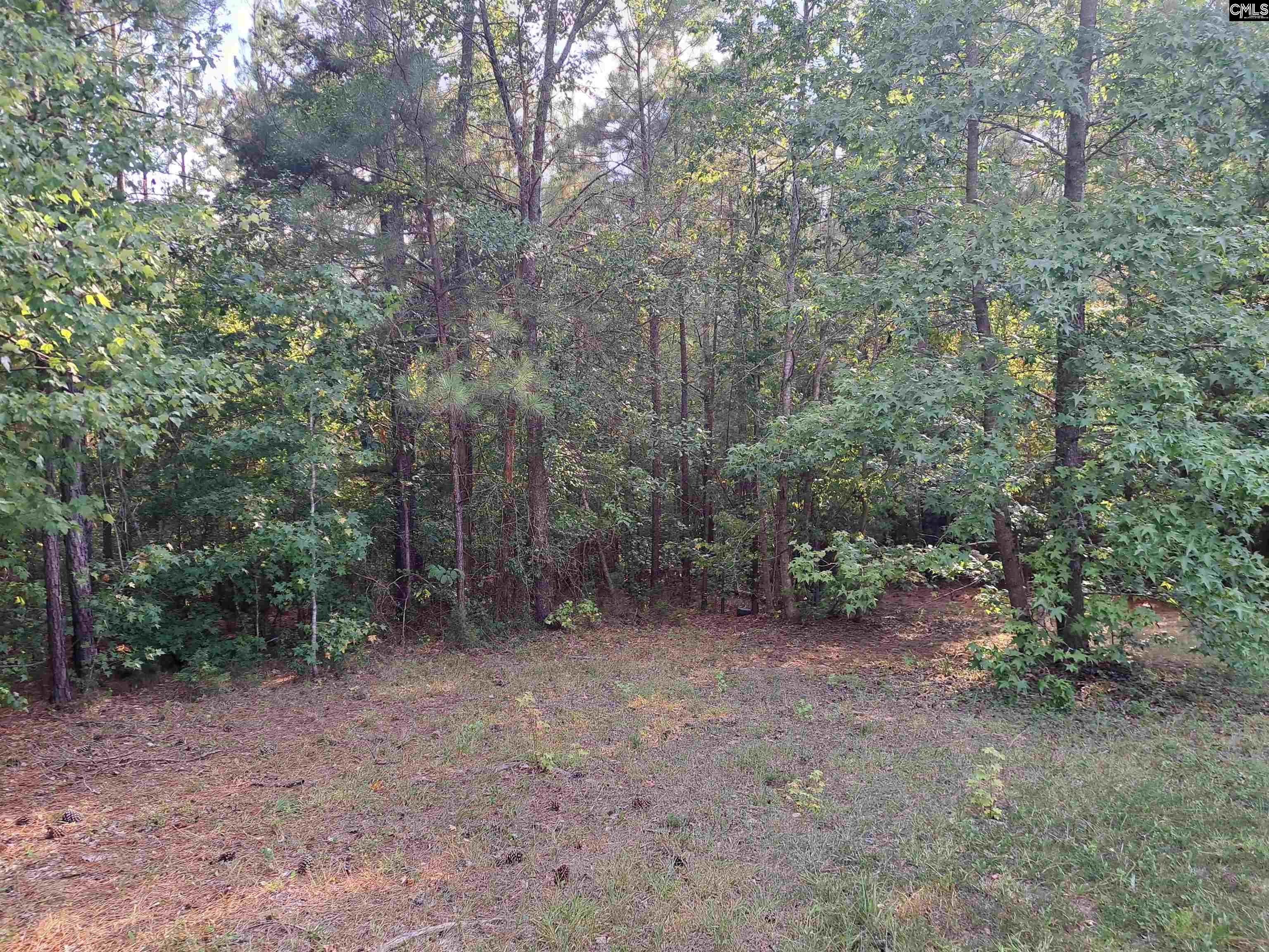 1001 Robinson Ridgeway, SC 29130