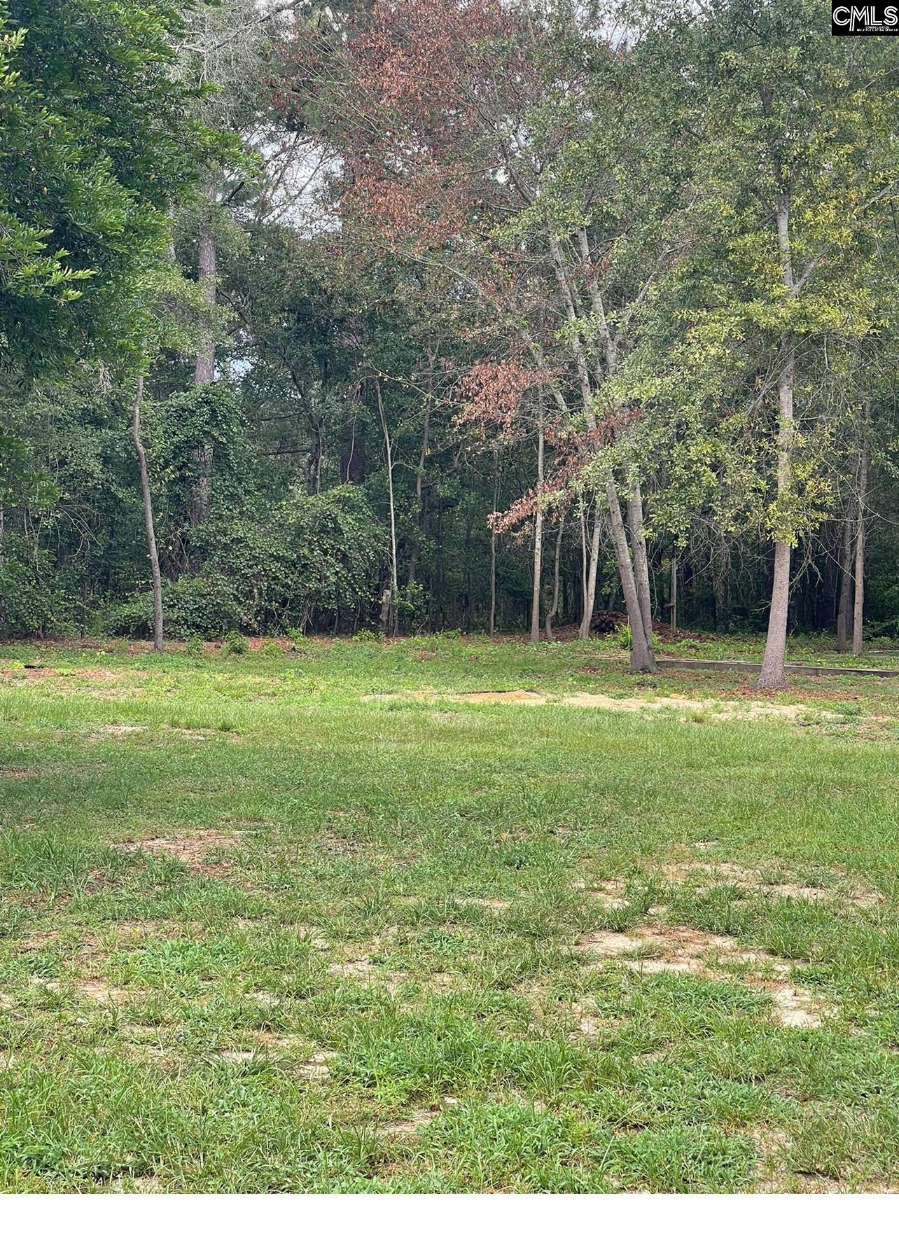 349 Wagner Hwy Leesville, SC 29070