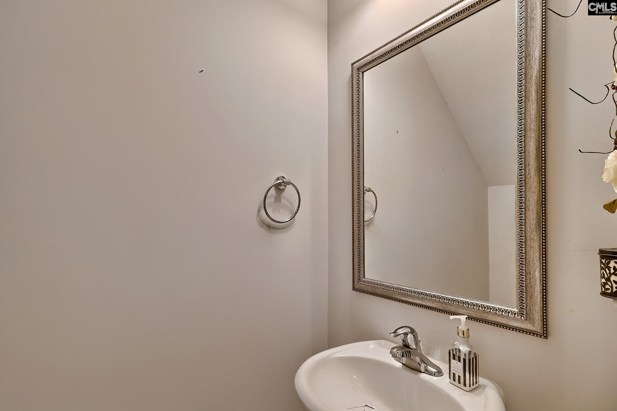 306 Dolly Horn Lane Chapin, SC 29036-6006