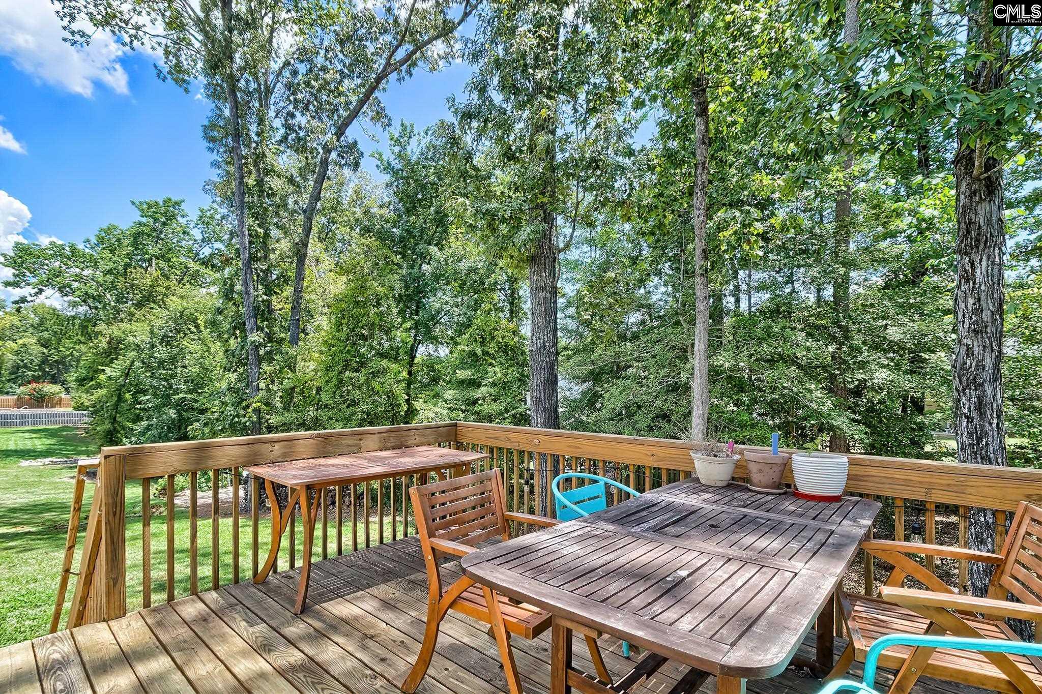 306 Dolly Horn Lane Chapin, SC 29036-6006