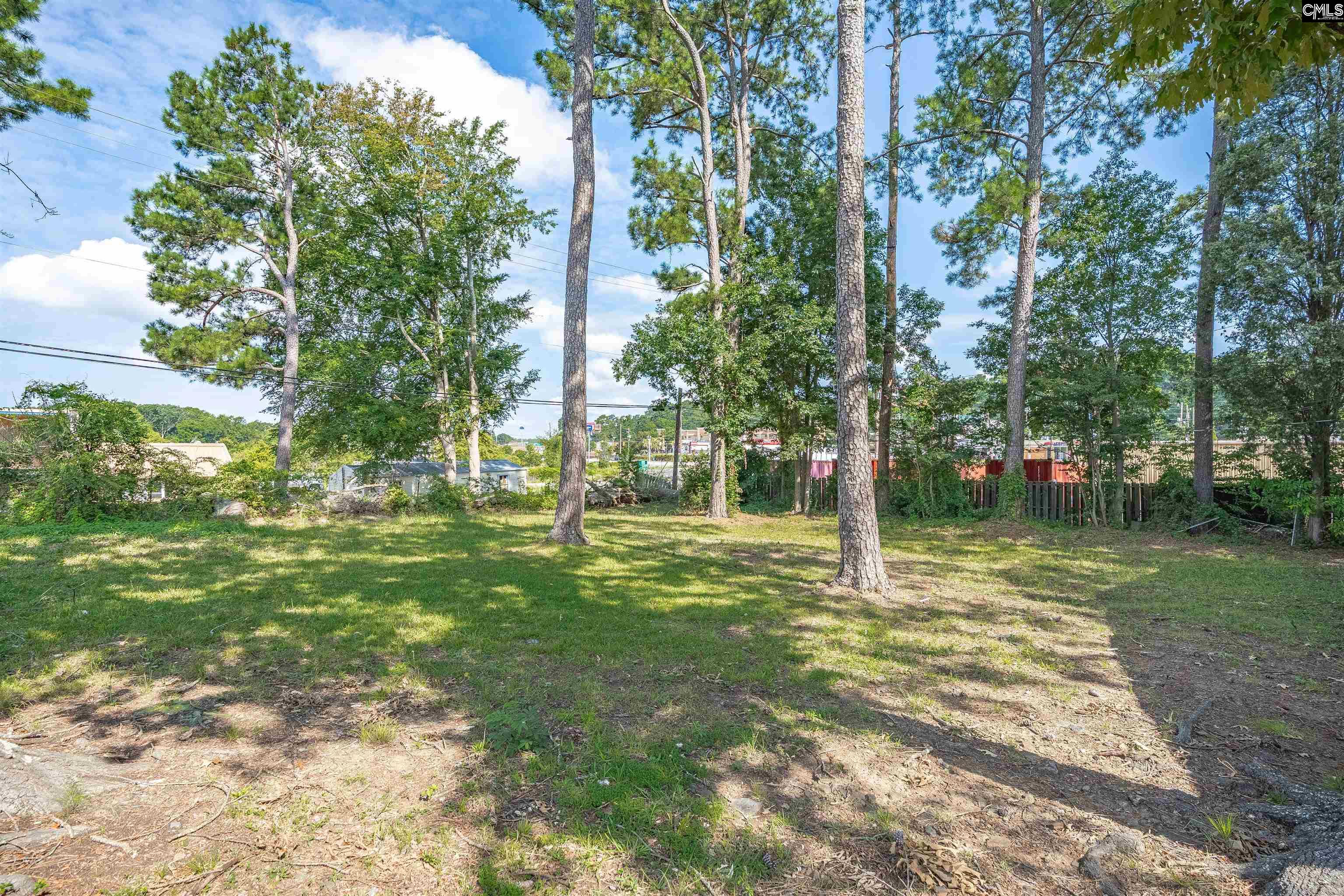 128 Latonea Drive Columbia, SC 29210