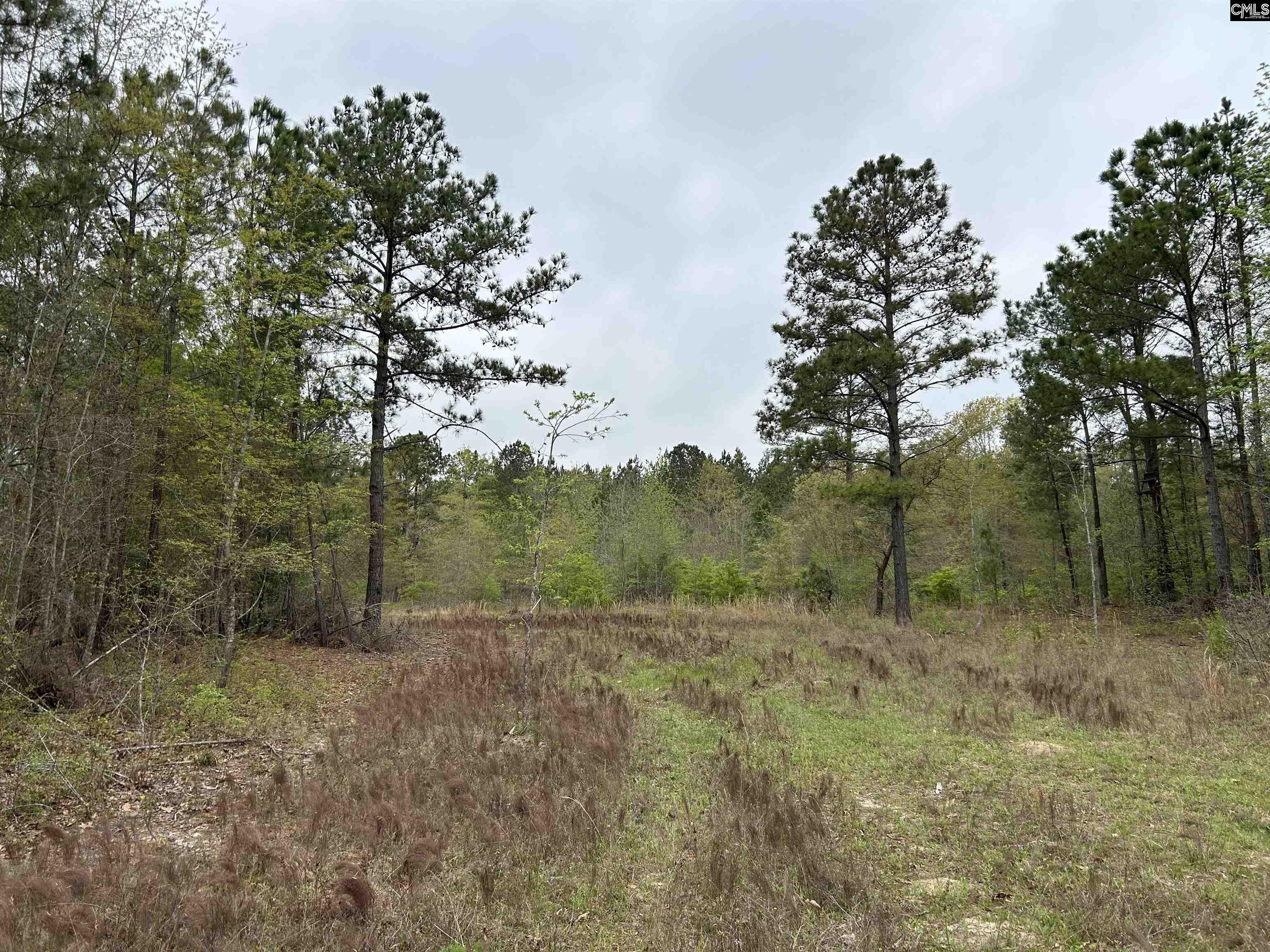 99.93 Acre Glover Chapel Way Swansea, SC 29160