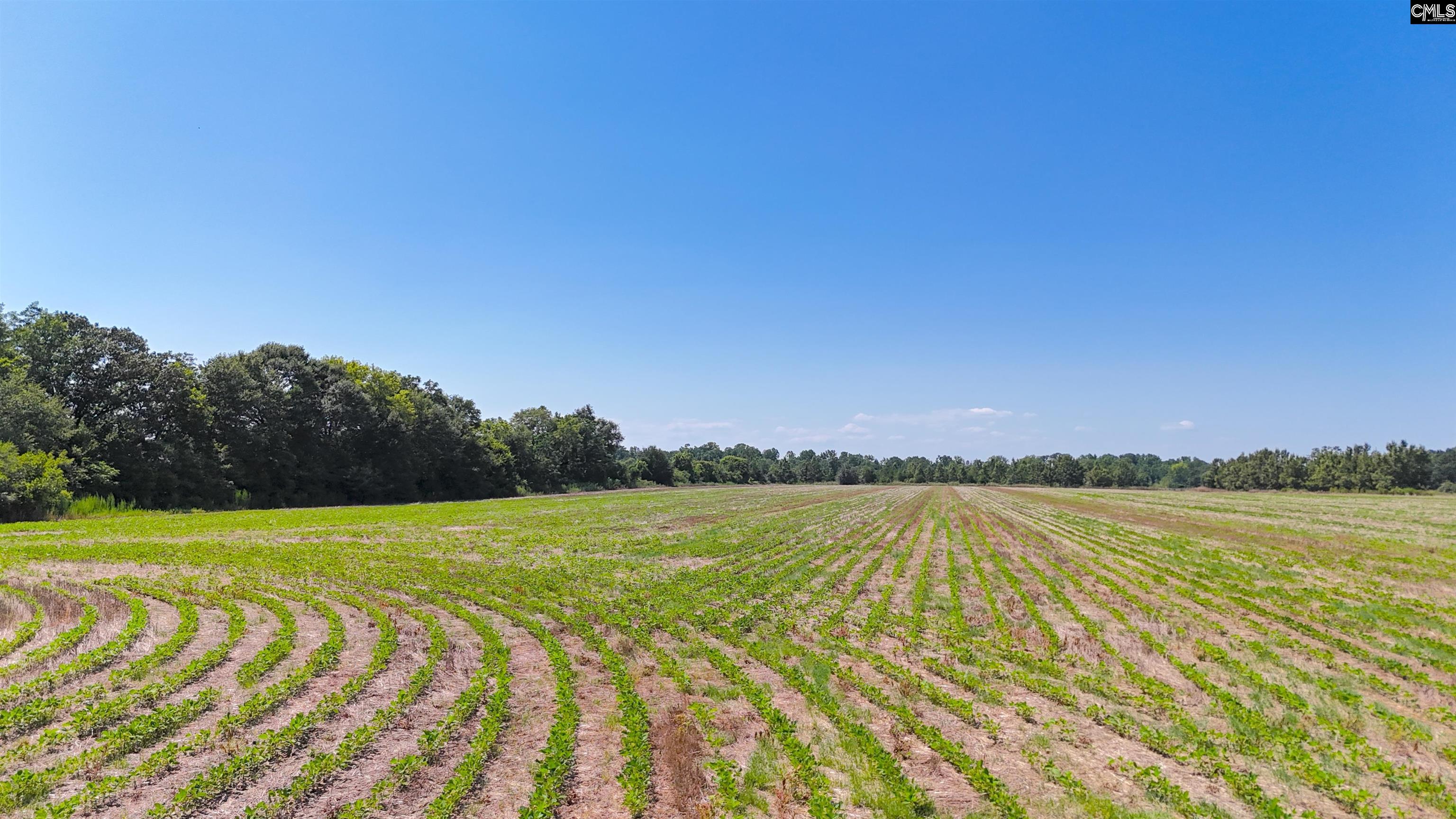 Joes Trail Monetta, SC 29105