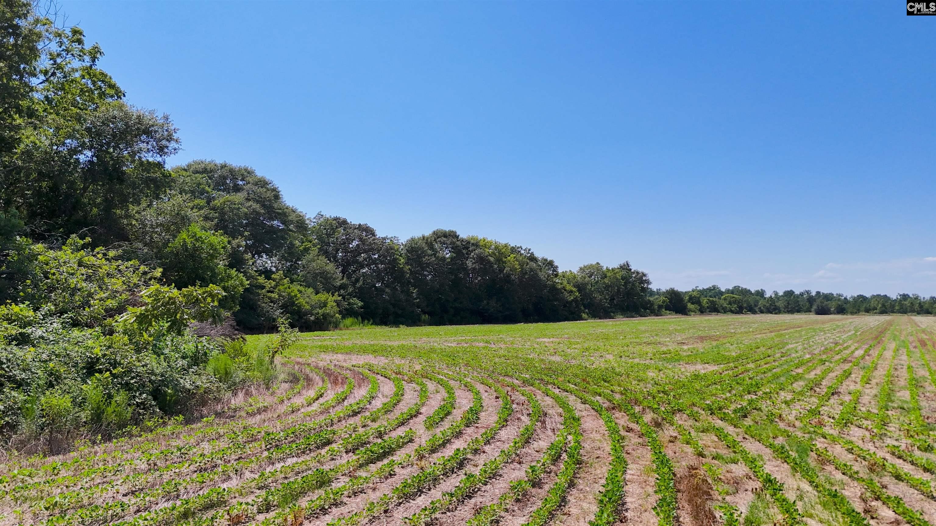 Joes Trail Monetta, SC 29105