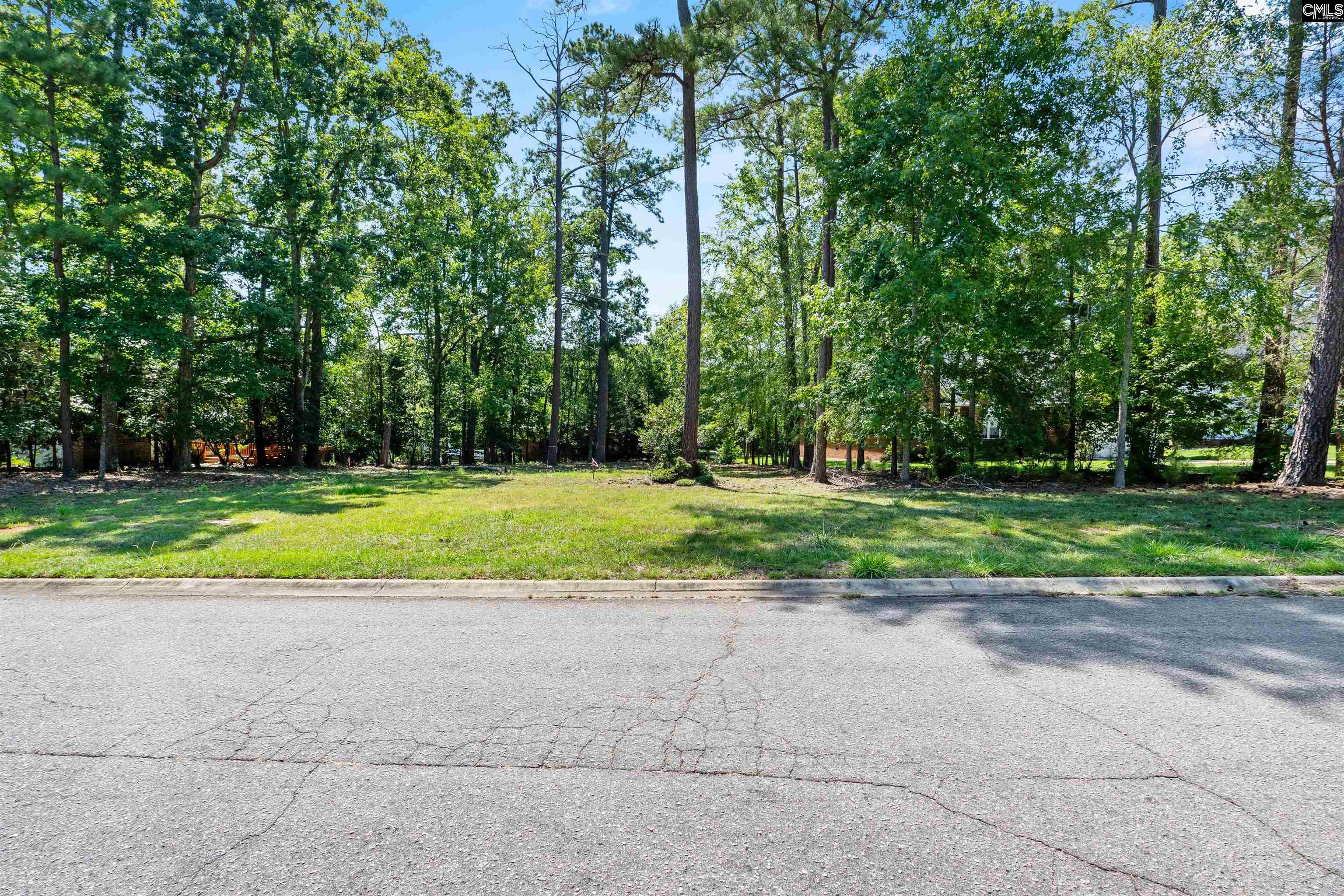 105 Oak Trace Court UNIT #30 Chapin, SC 29036