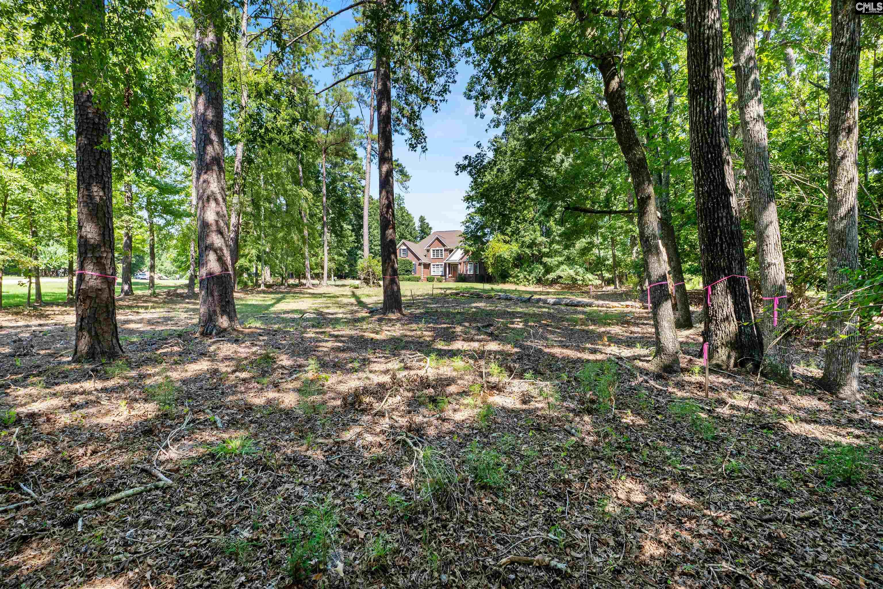 105 Oak Trace Court UNIT #30 Chapin, SC 29036