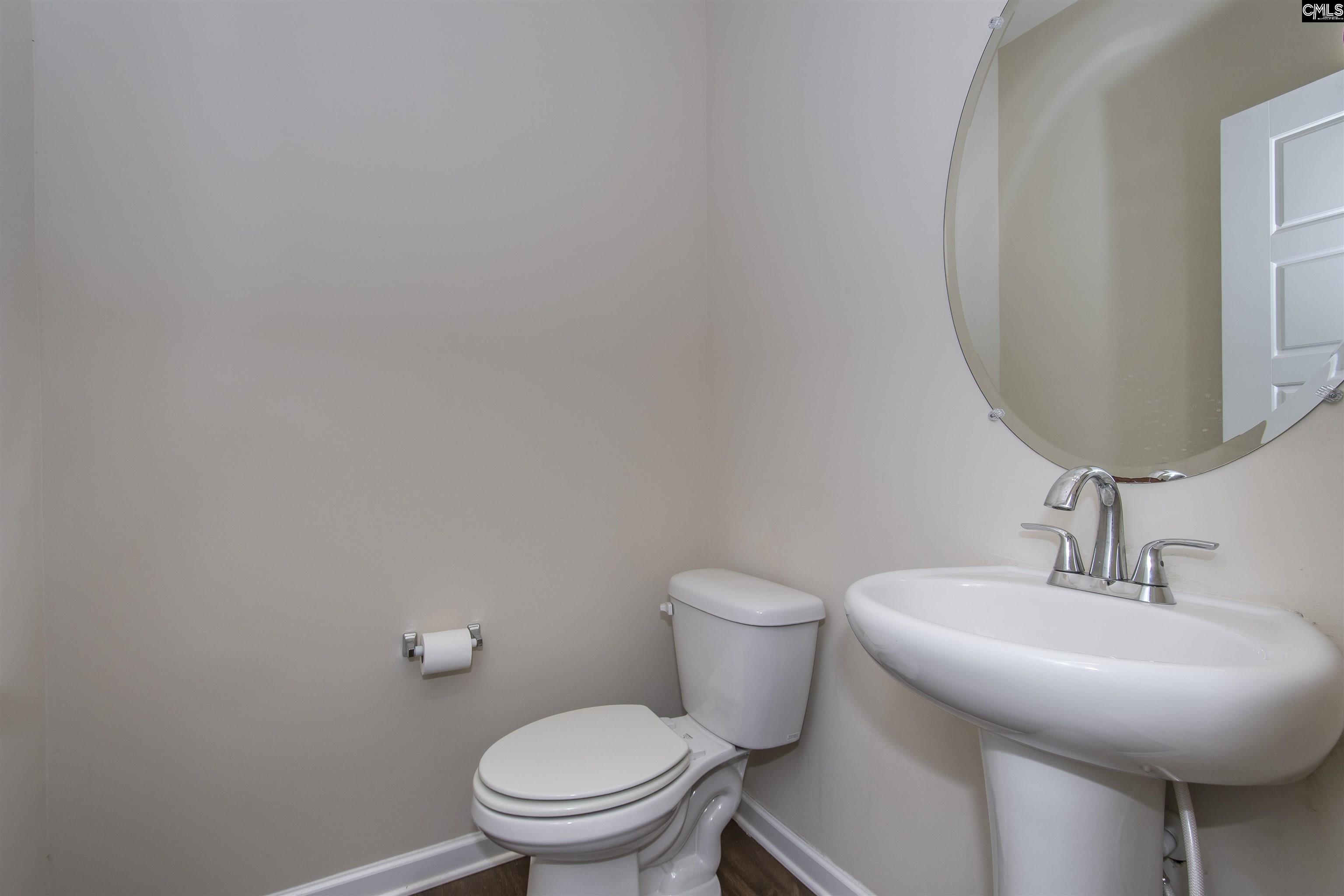 240 Bickley View Court Chapin, SC 29036