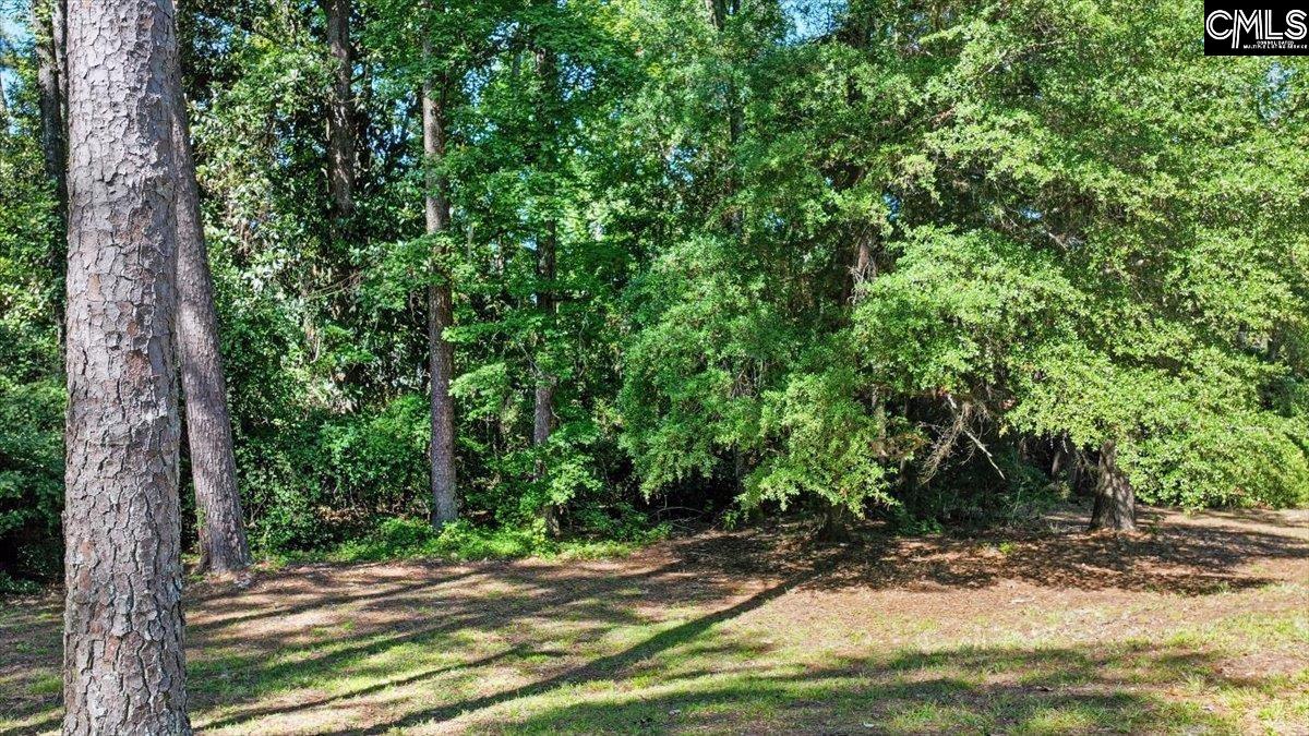 131 Club Acres Boulevard Orangeburg, SC 29118