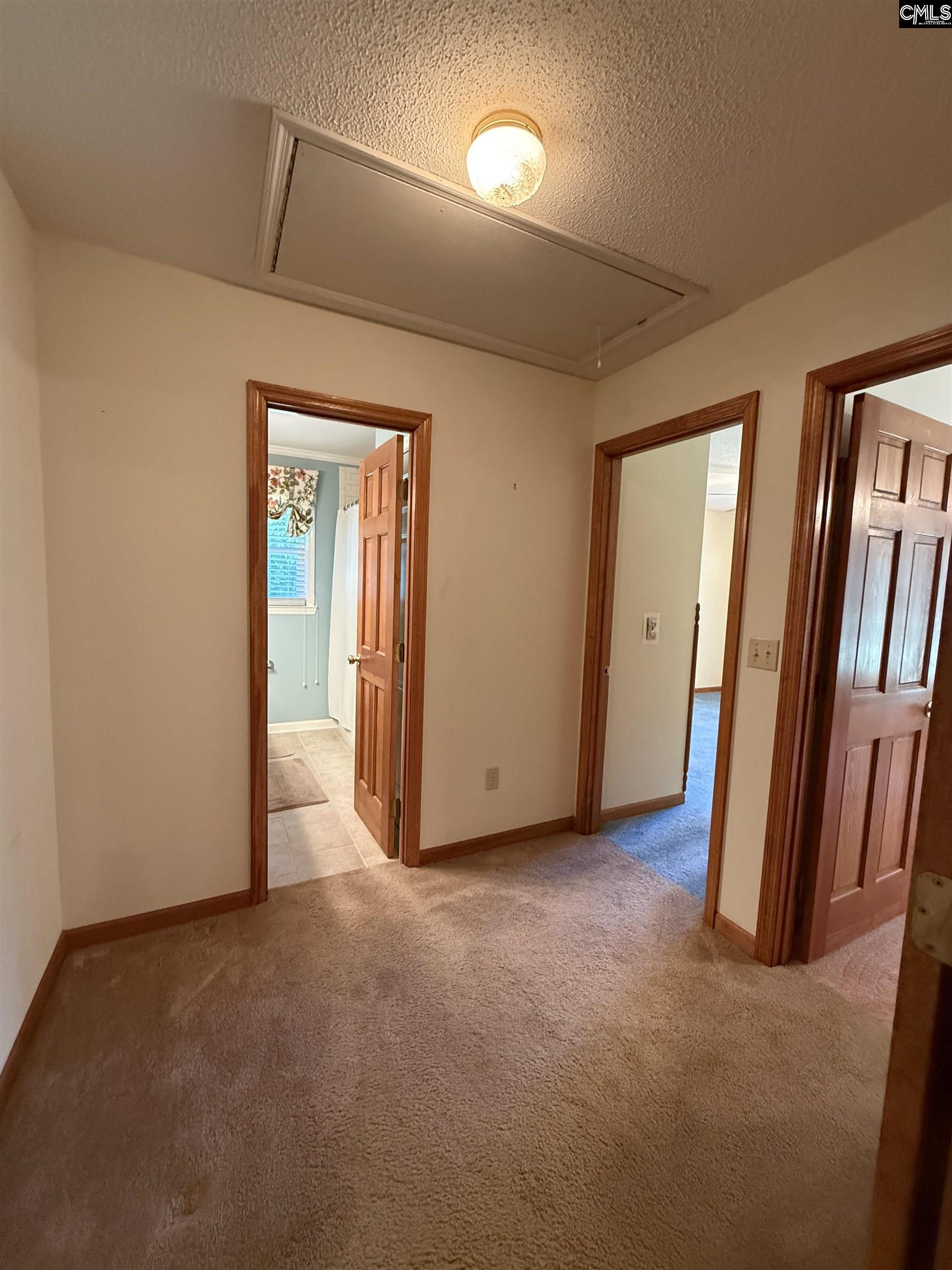 3025 Shillings Bridge Road Cope, SC 29038