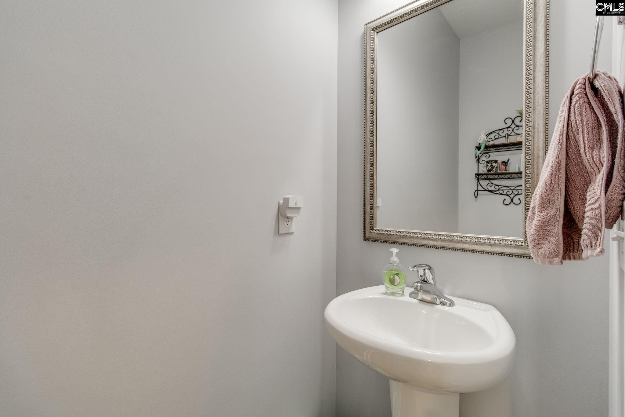 163 Wisley Garden Drive Lexington, SC 29073