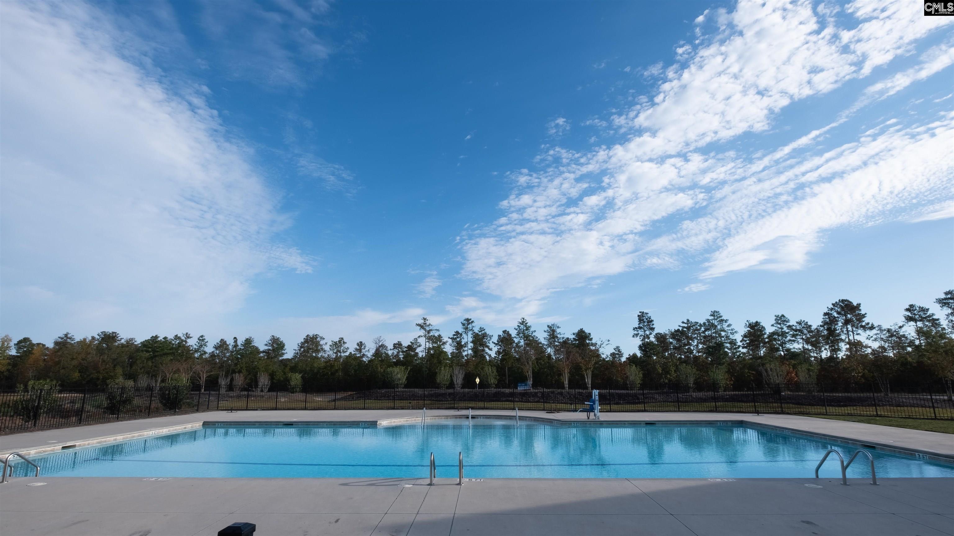 1331 Sweet Gardenia Drive Blythewood, SC 29016