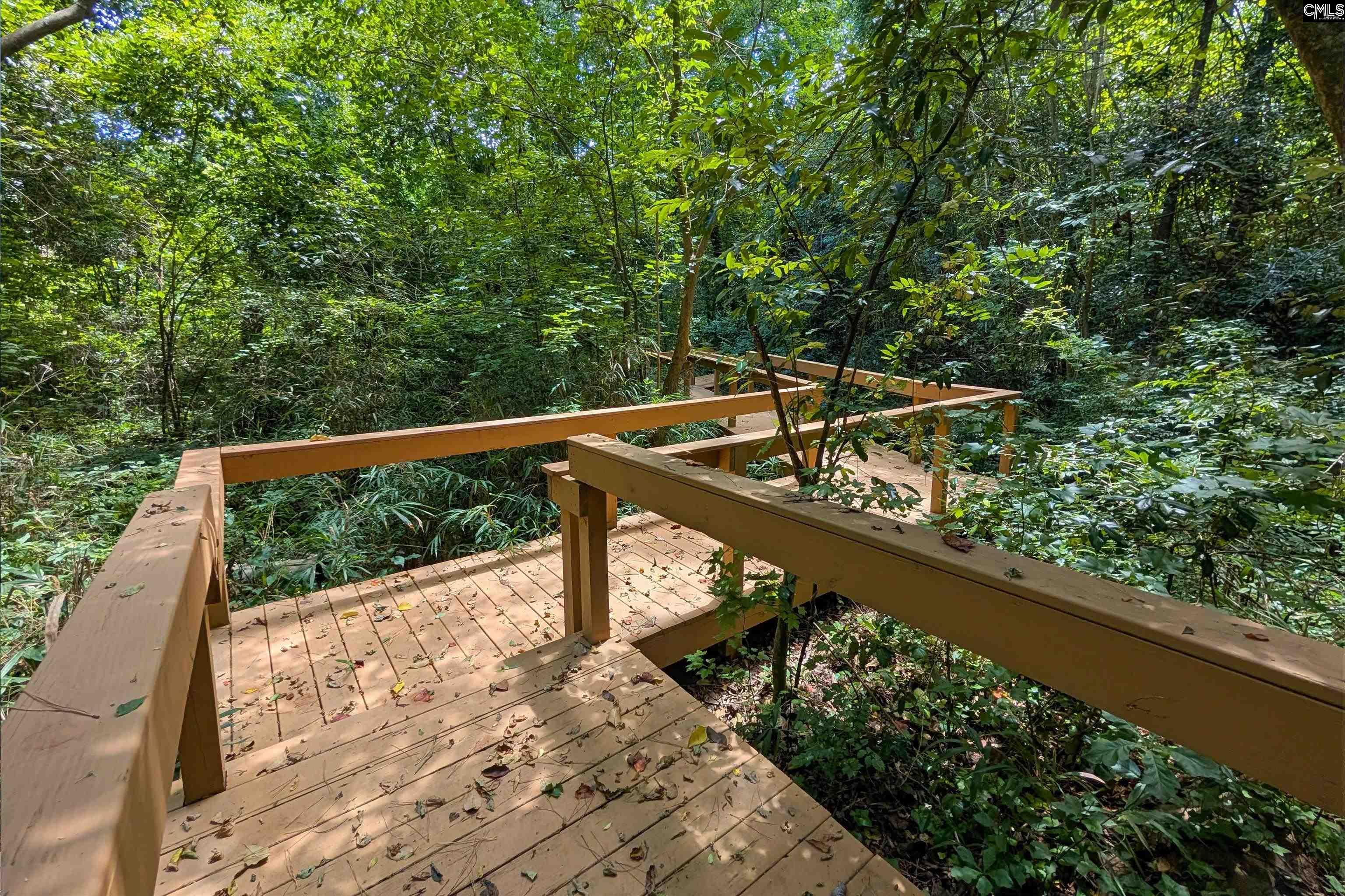 1124 Congaree Bluff Avenue Cayce, SC 29033-4427