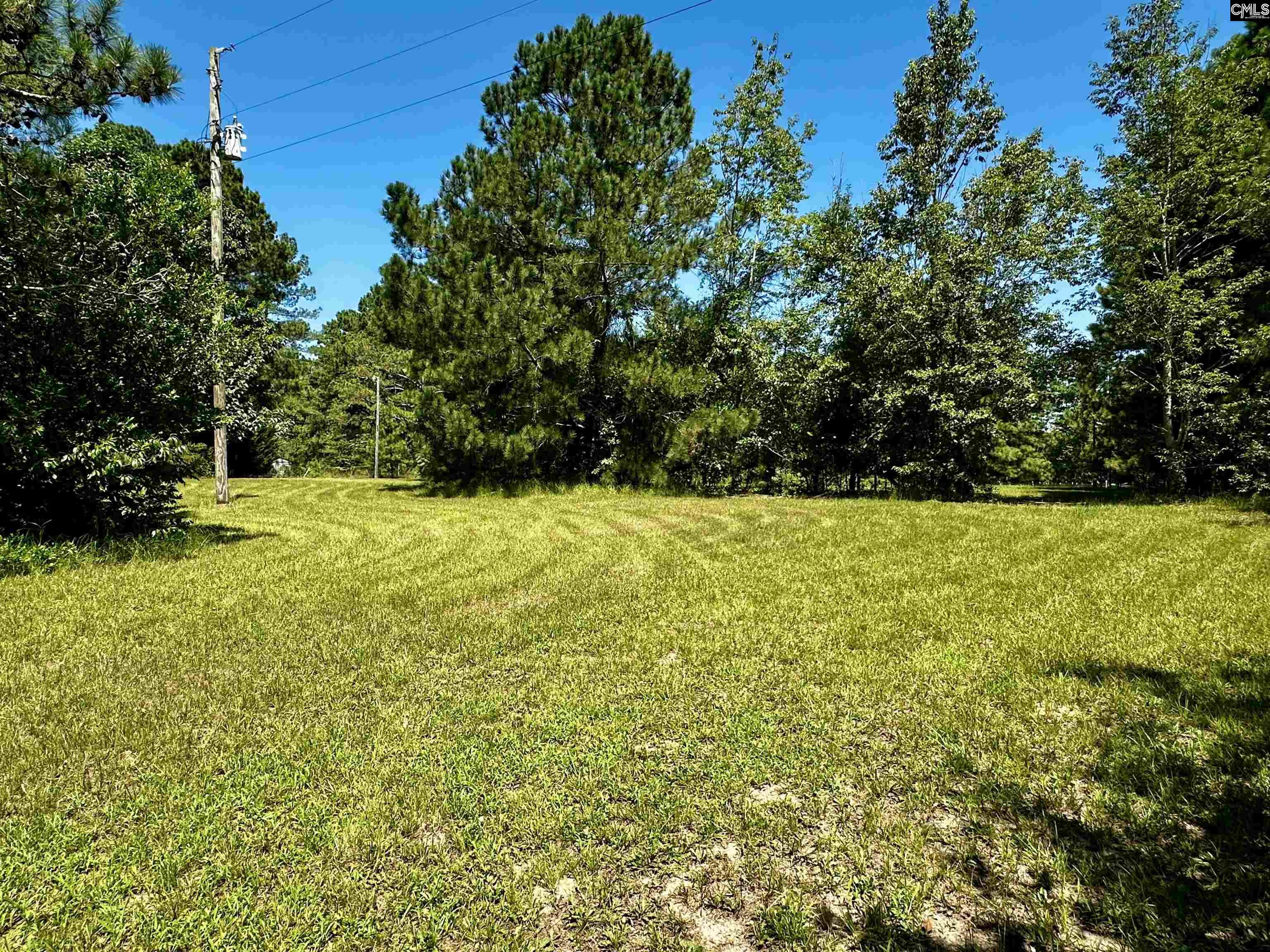 1007 Ben Kyzer Drive Gilbert, SC 29054