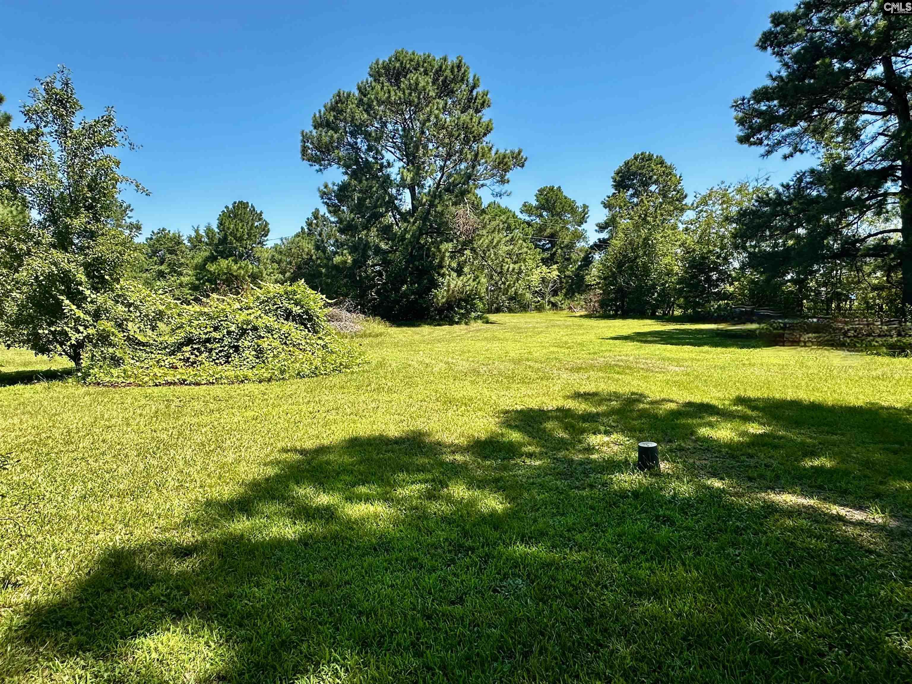 1007 Ben Kyzer Drive Gilbert, SC 29054