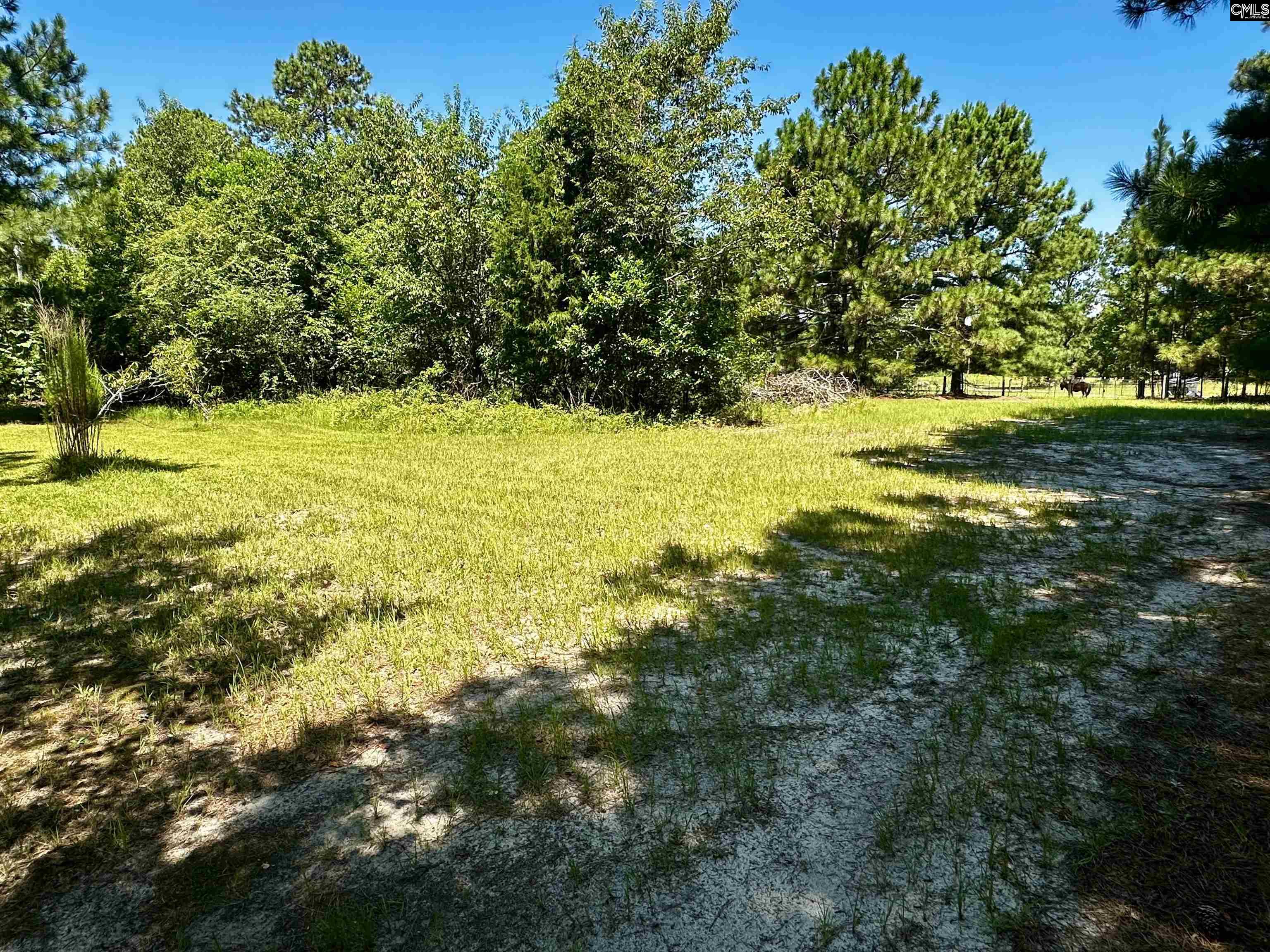 1007 Ben Kyzer Drive Gilbert, SC 29054