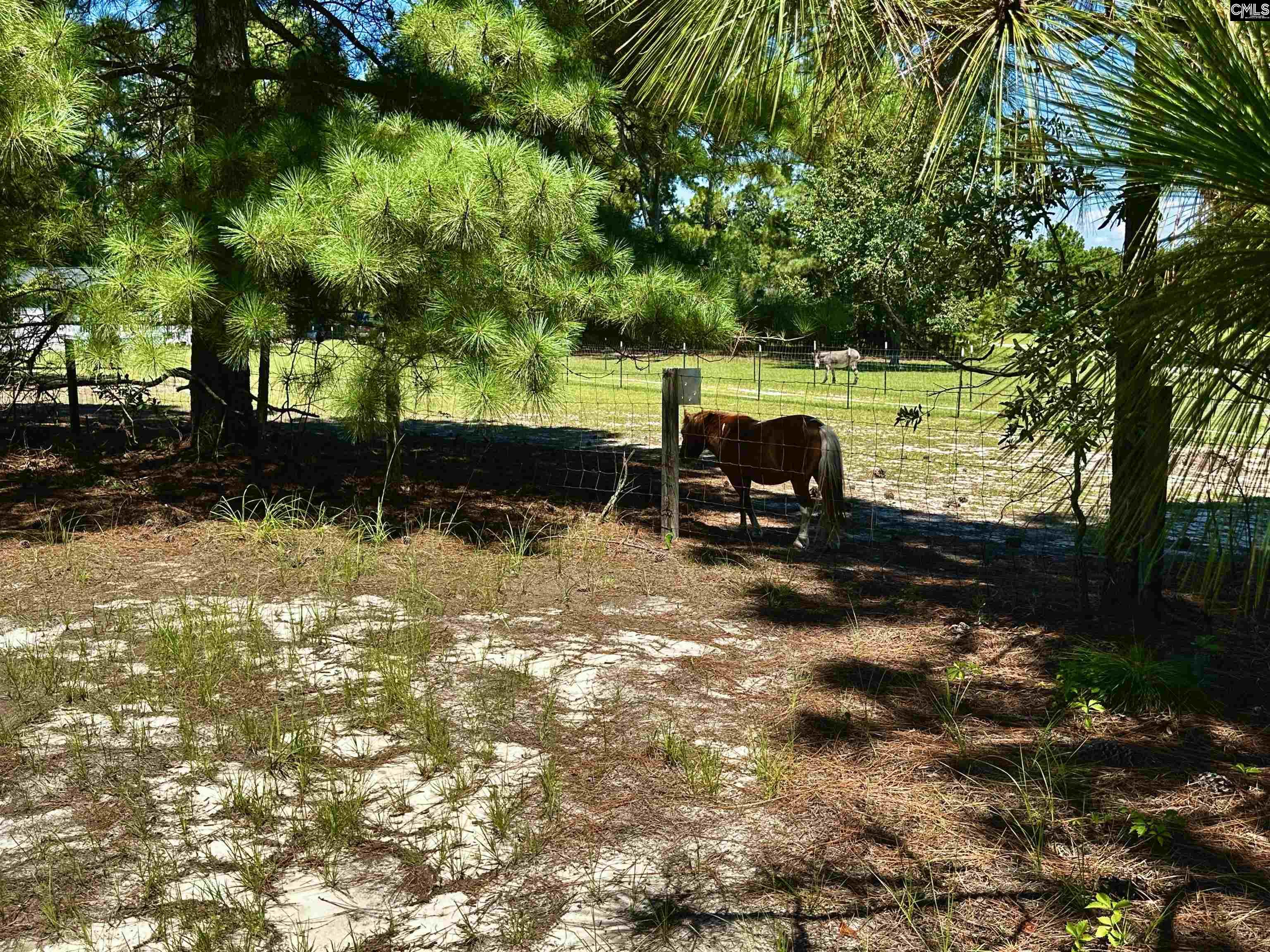 1007 Ben Kyzer Drive Gilbert, SC 29054