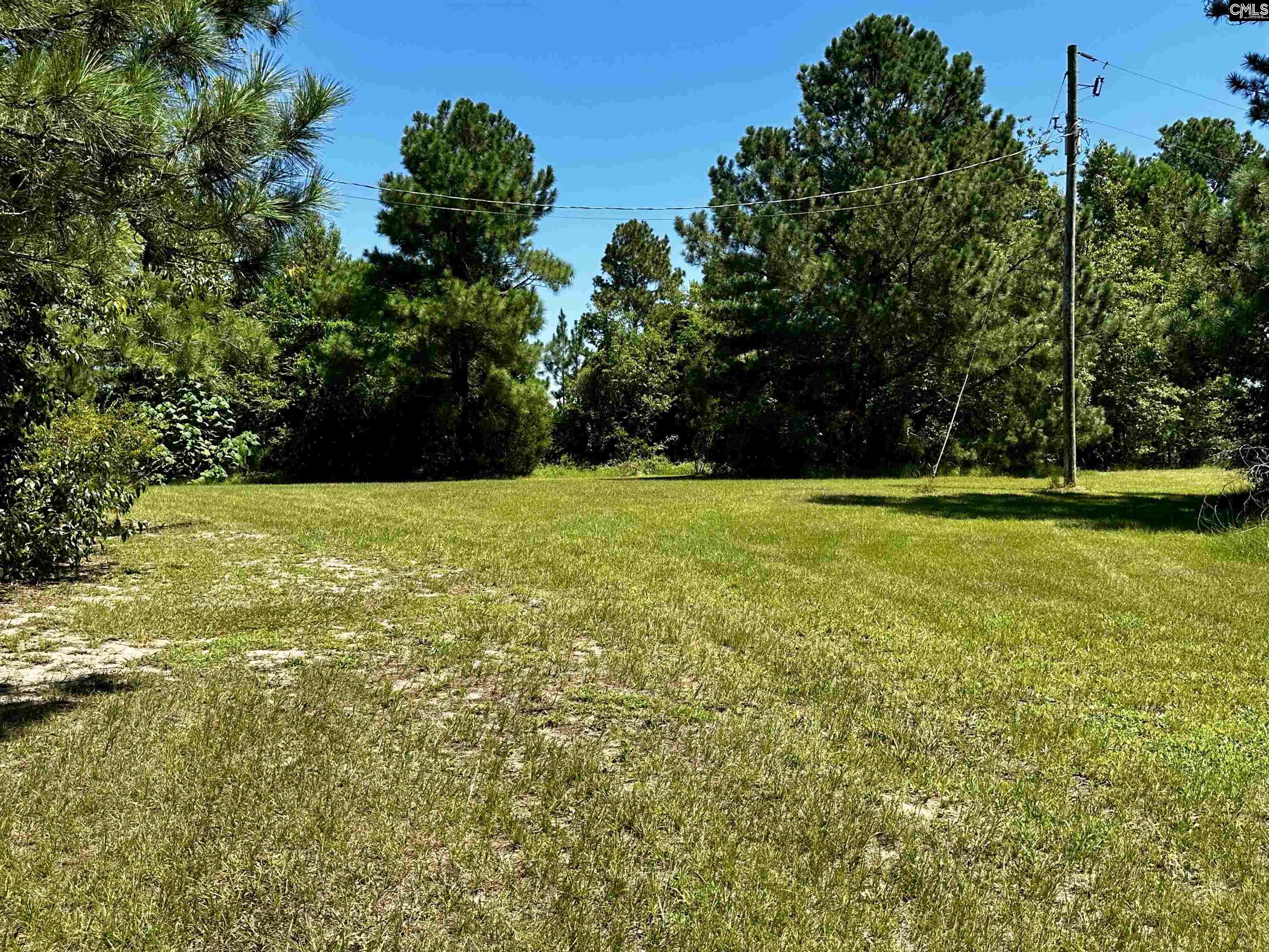 1007 Ben Kyzer Drive Gilbert, SC 29054