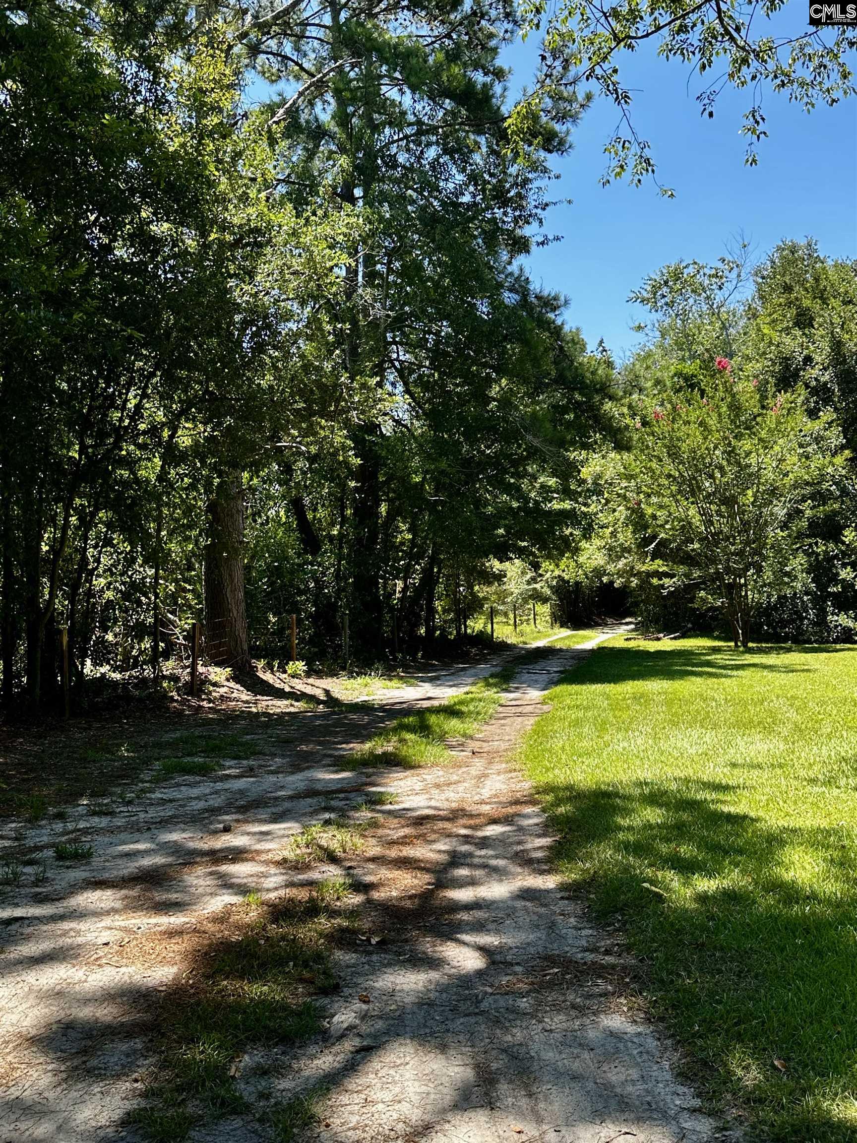 1007 Ben Kyzer Drive Gilbert, SC 29054